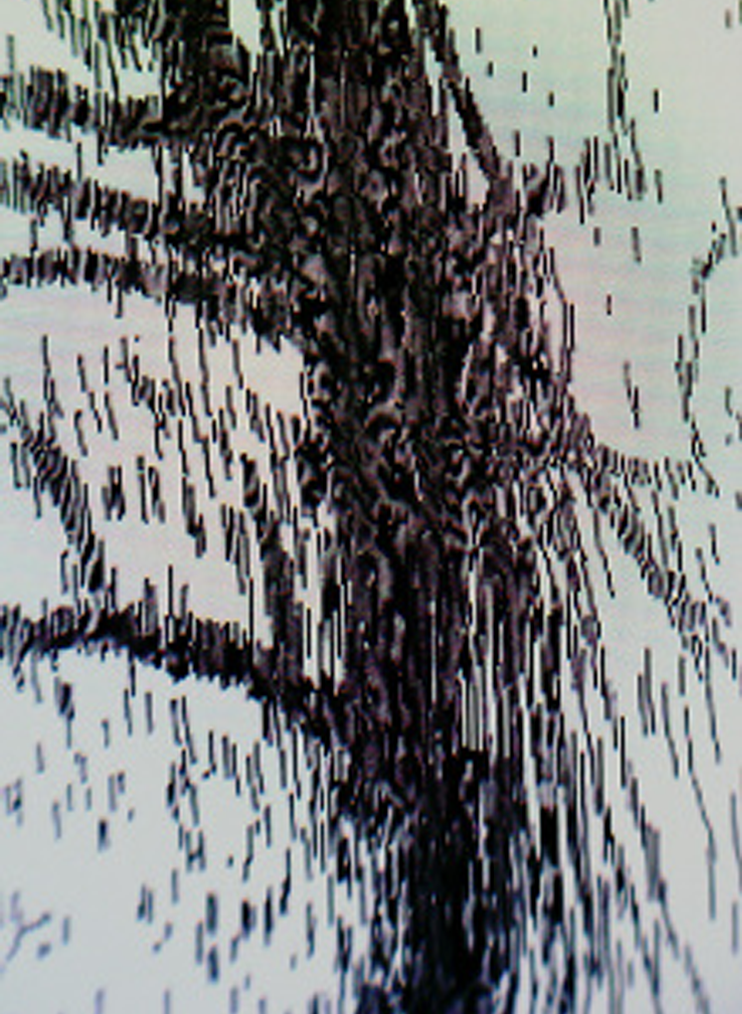 THE SOFT MACHINE - LOST TIME process