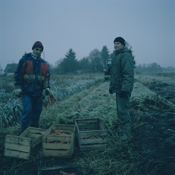 Knoblauchsland / Nuremberg