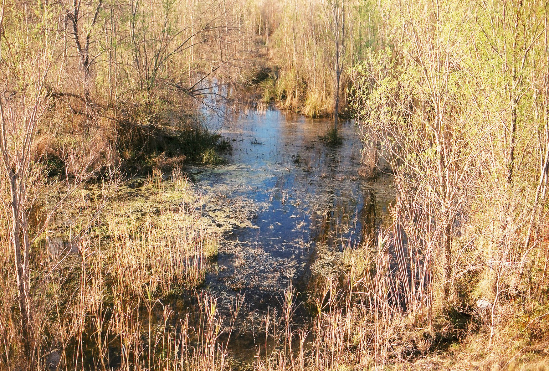 Montpellier, France, 2018.