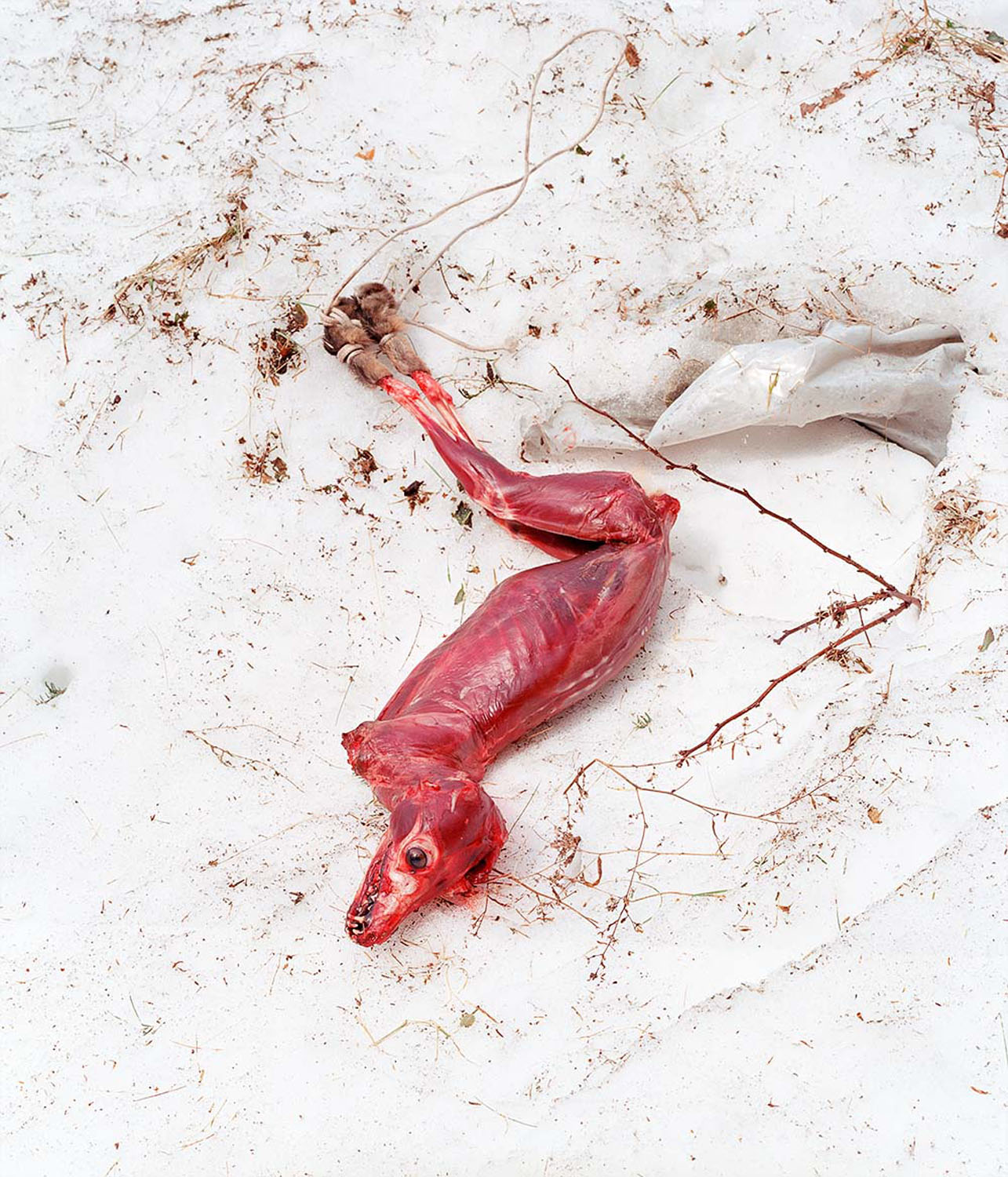 Skinnedarchival inkjet print, foamcore, 15x 17.5 inches, 2021