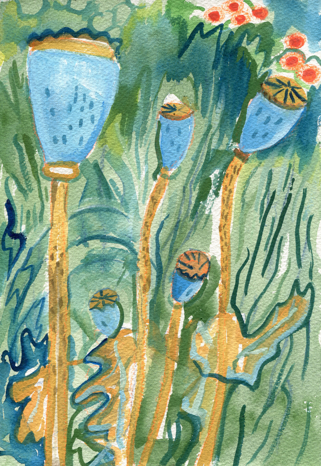 PoppiesJuly 5 2021 7 x 10" watercolor, gouache, pencil
