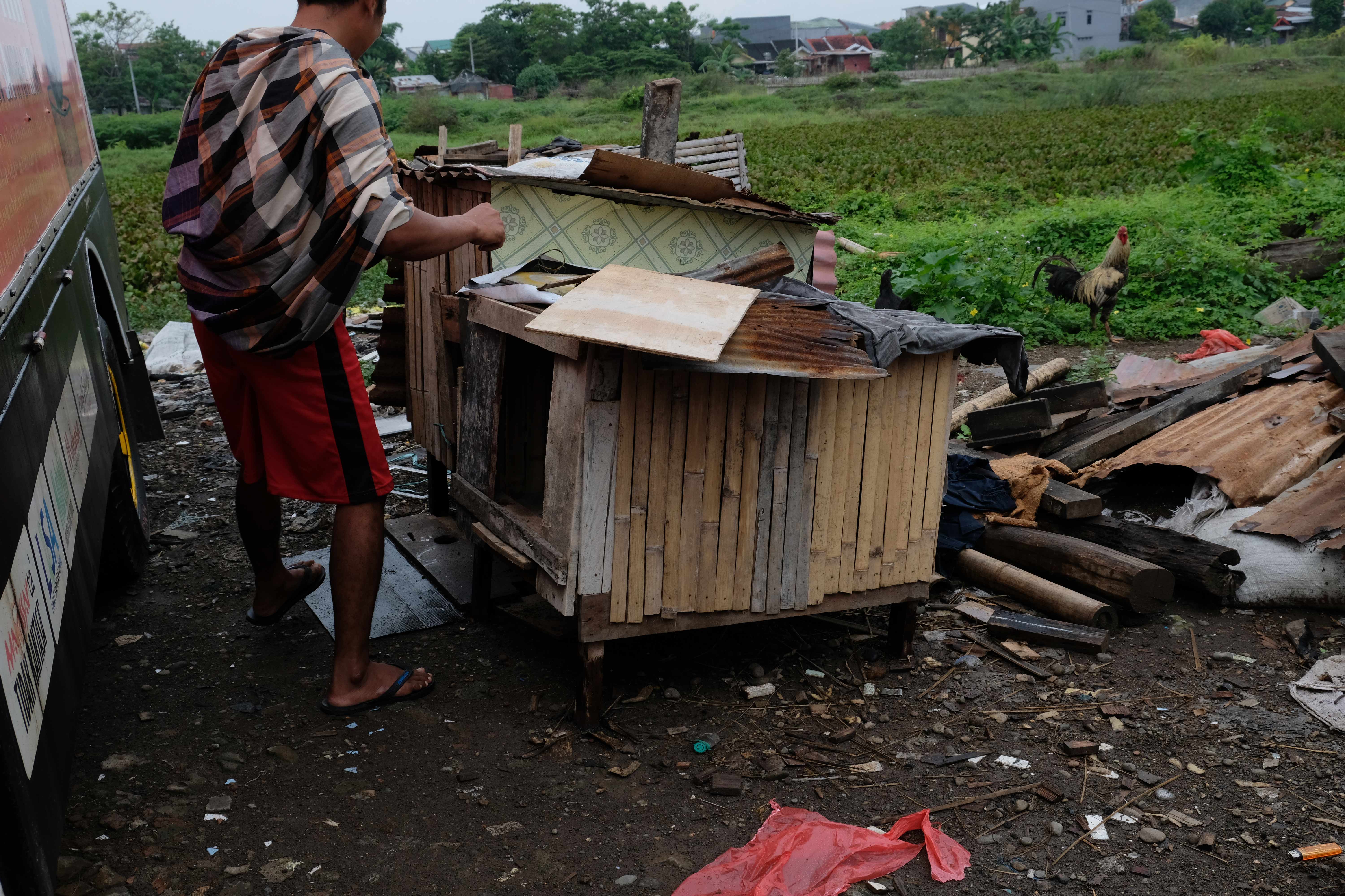 Checking the chicken coops
