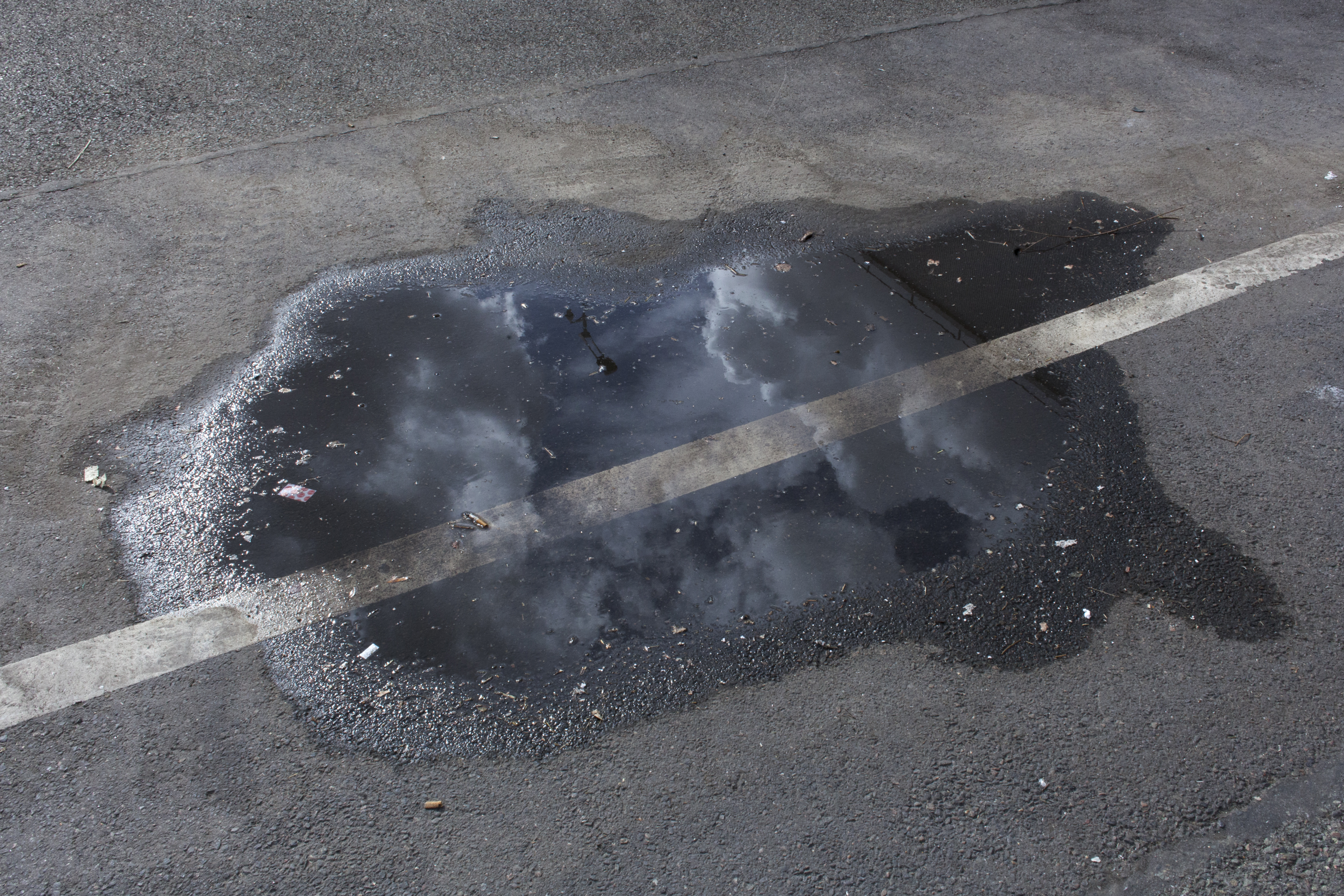 julien cregut-Lost Dogs-©juliencregut