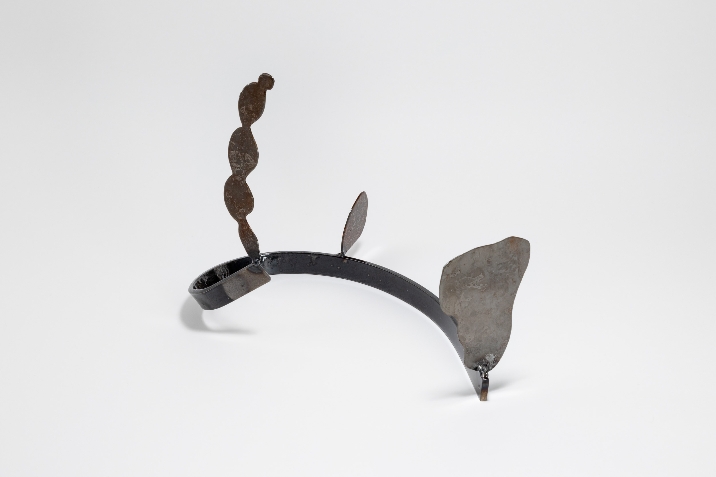 Xenophora 9/13, 24 x 30 x 20.5cm
