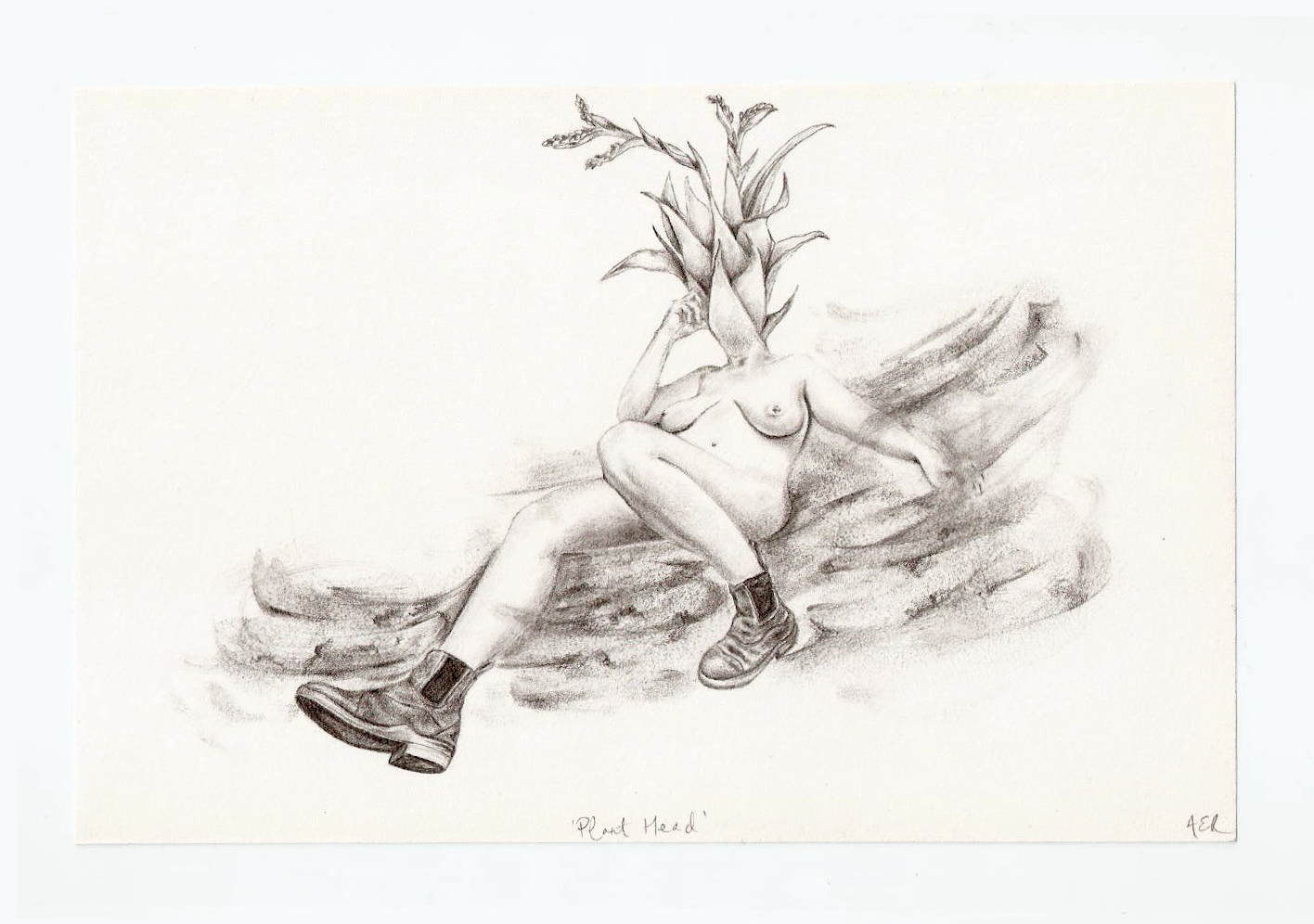 &lsquo;Plant Head / Grow Your Mind&rsquo;, graphite on paper, 14 x 21 cm. The plant drawn here is based on the Powdery Strap Airplant, a carnivorous plant that is endangered.