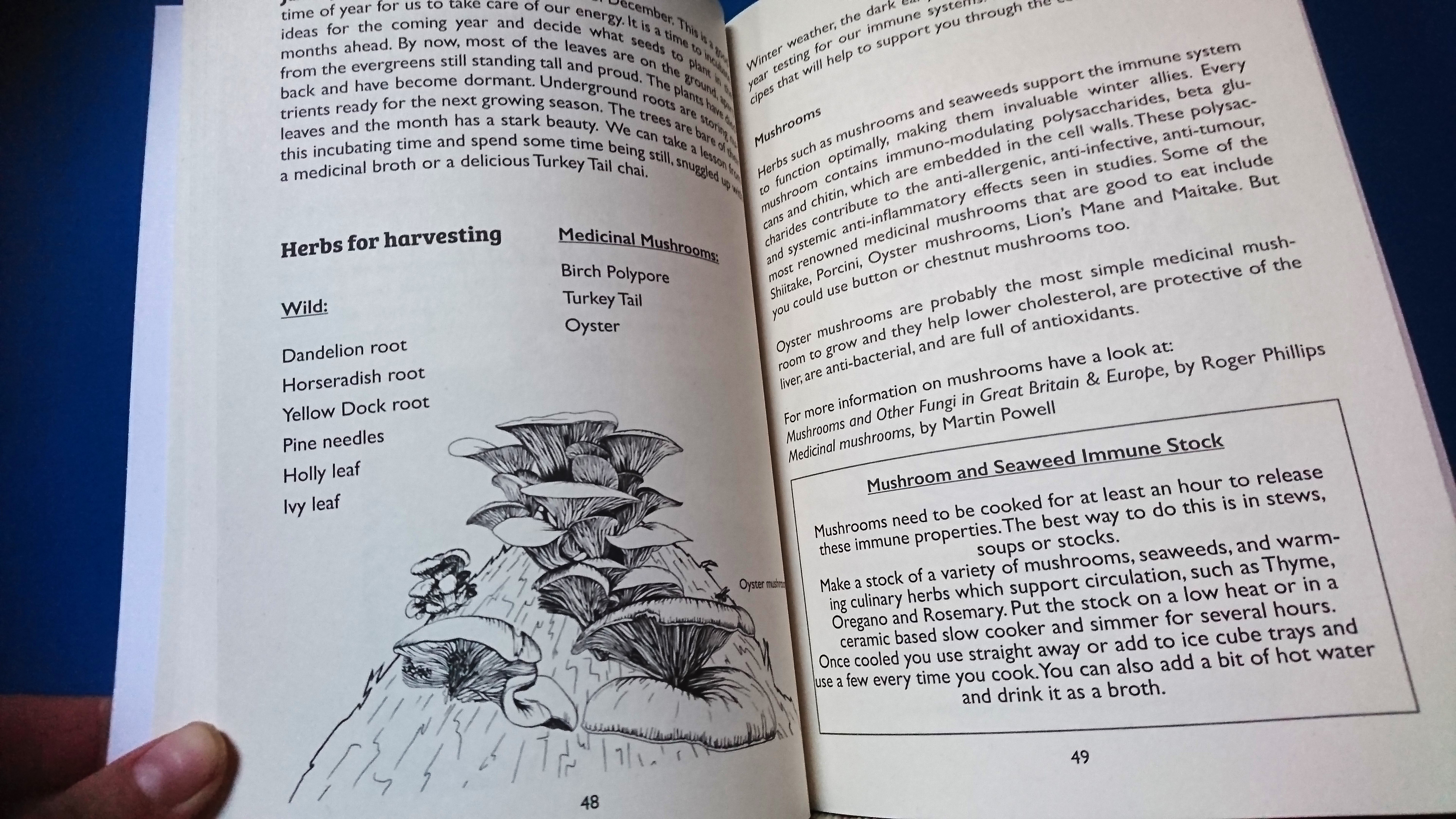 Mushroom illustrations also included in The Herbal Yearbook published by Herbalists without Borders, 2023