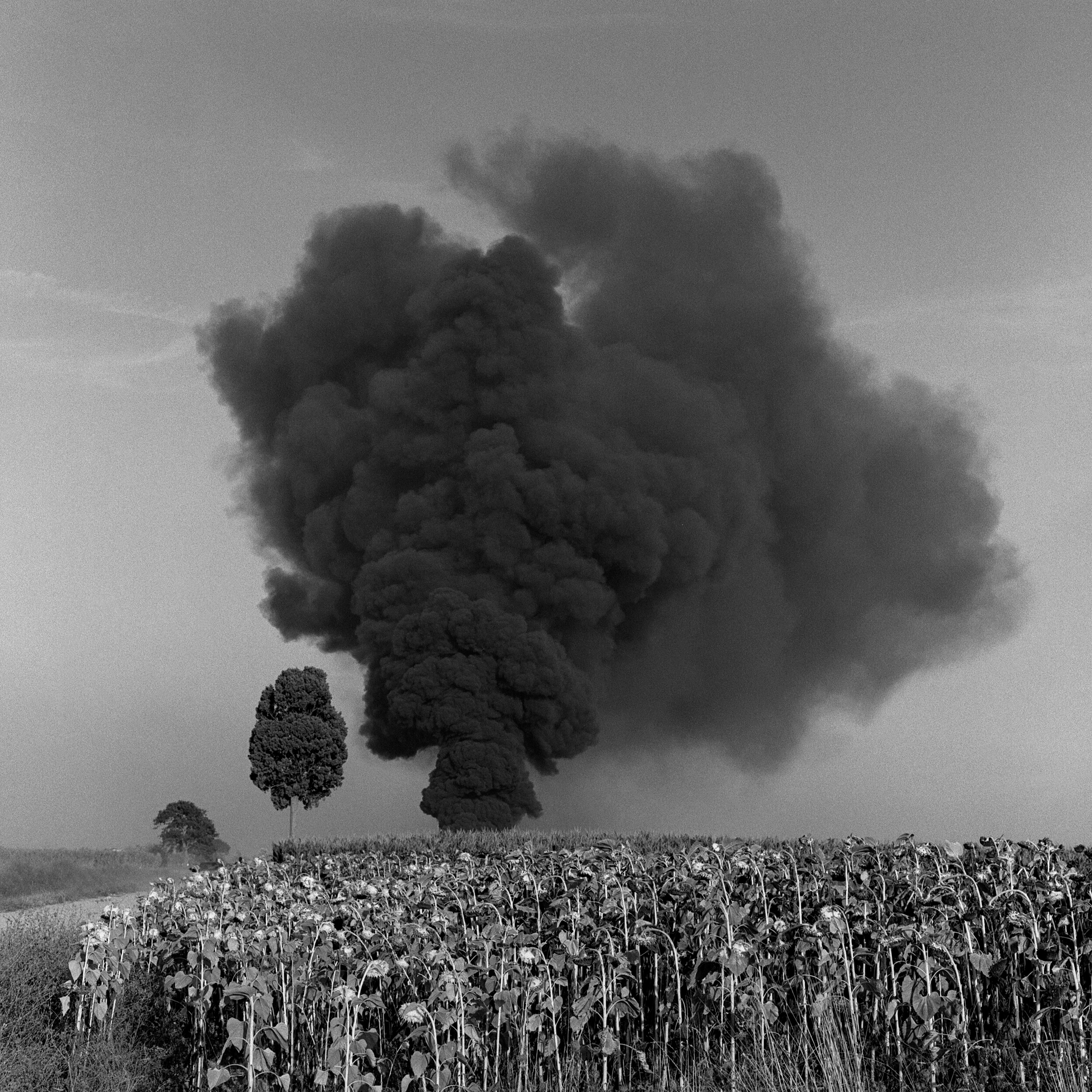 FIRE, Pisa 1988 (ref: Pliny the Younger on Vesuvius eruption of 79CE)