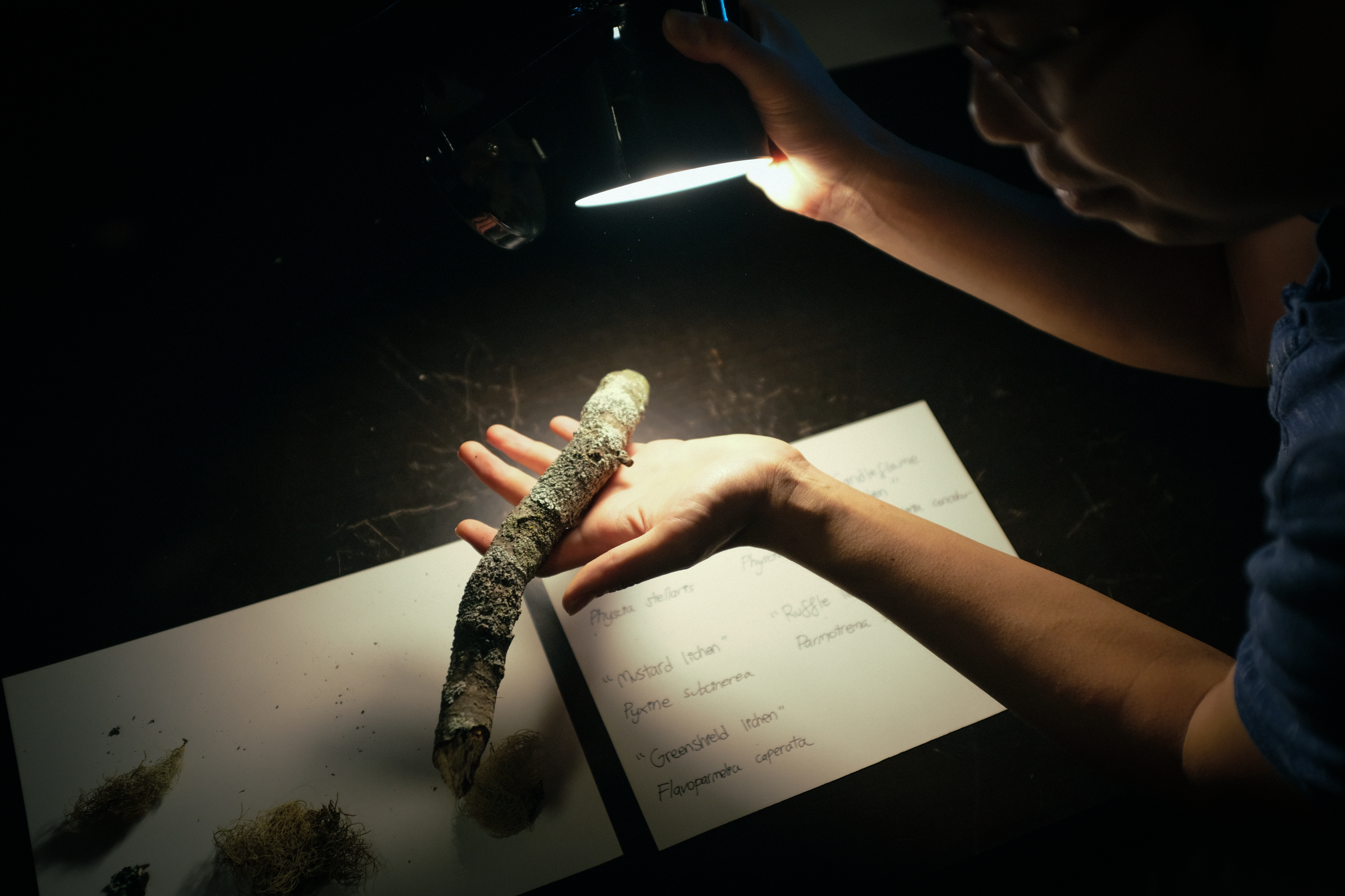 Pioneer Works, Brooklyn NY