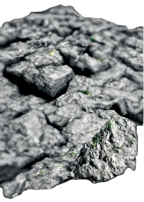 Trans-intelligence.Text&Images