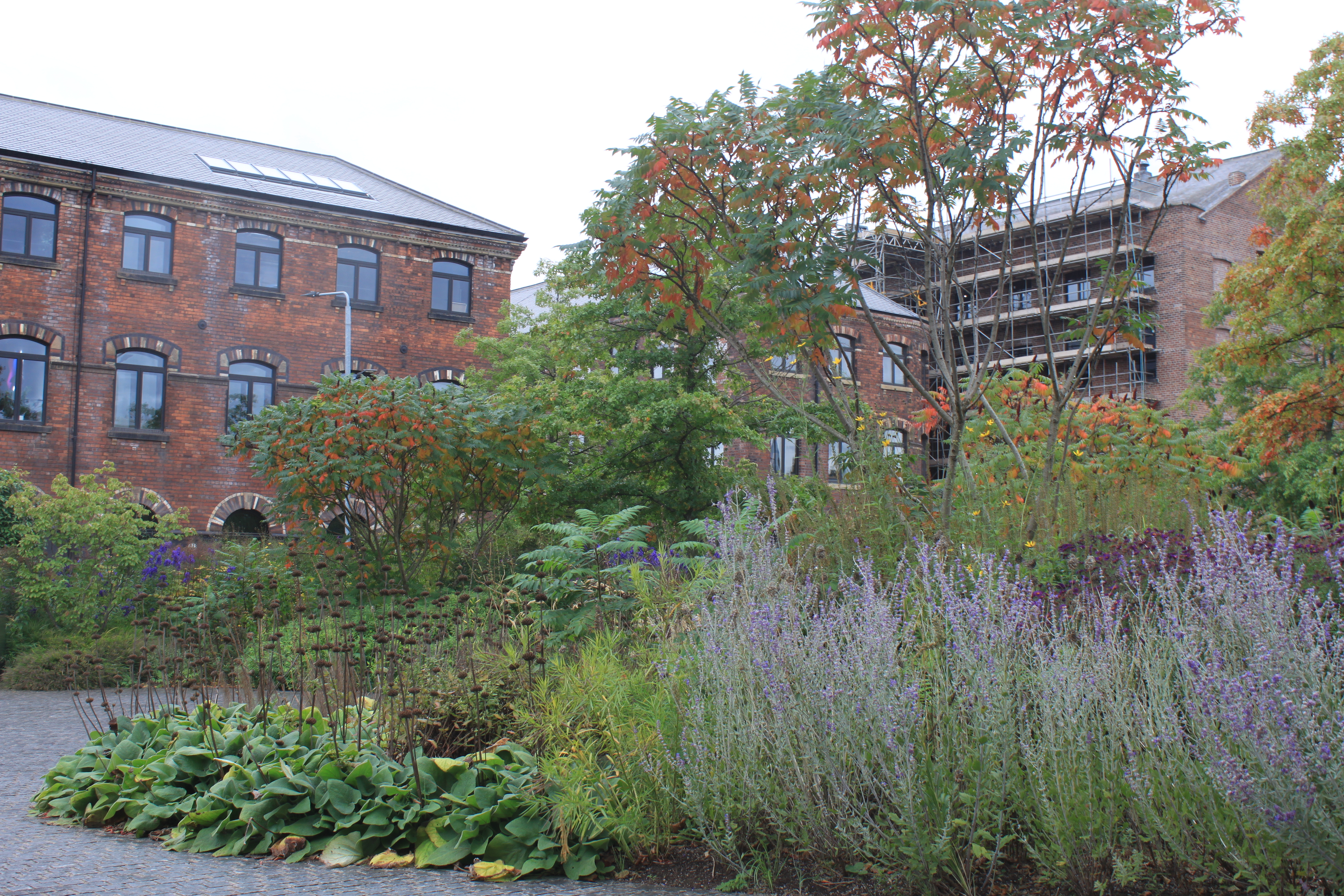 wakefield 📷 Cristina Audera