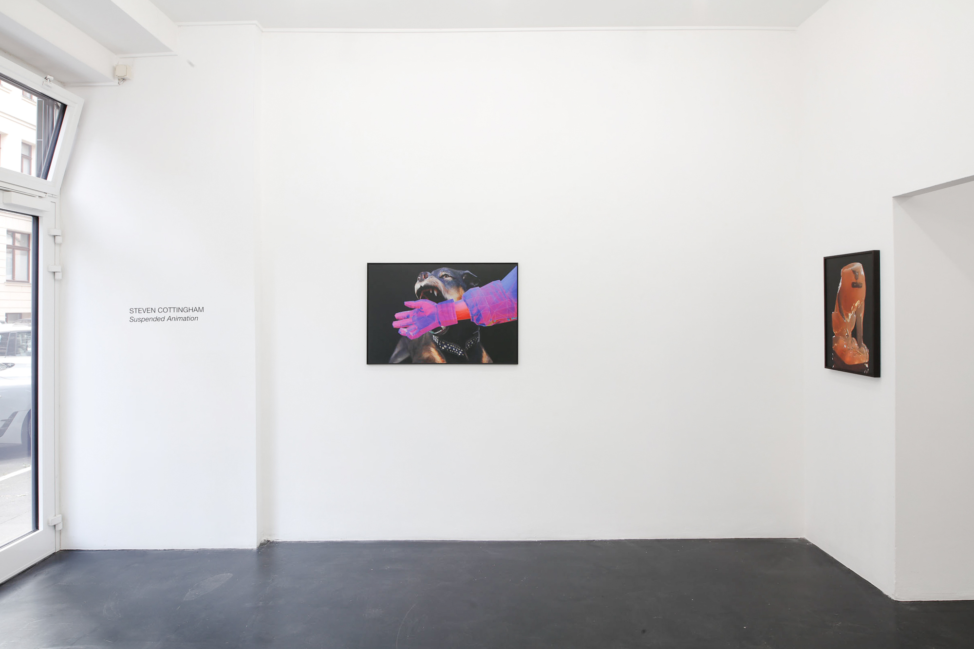 Installation view