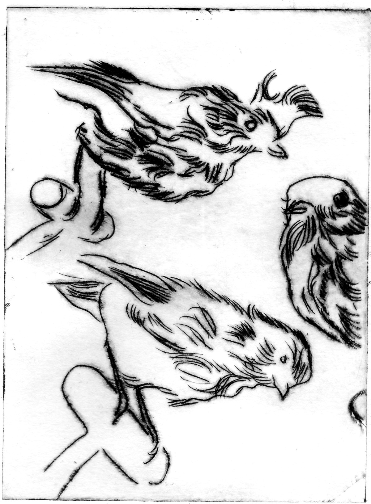 Trio de piaf,gravure pointe sèche,15x11cm