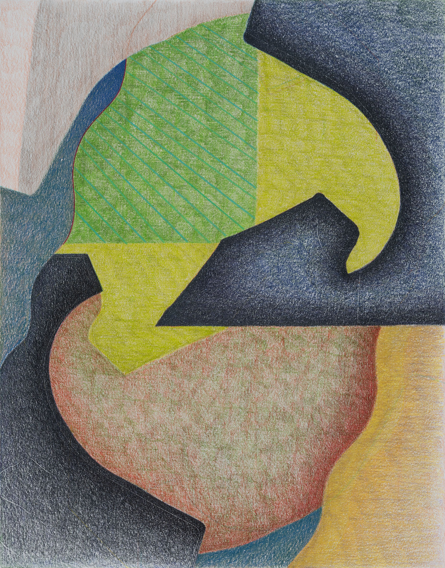 Tortoise, 2023, colored pencil and graphite on paper, 14 × 11".