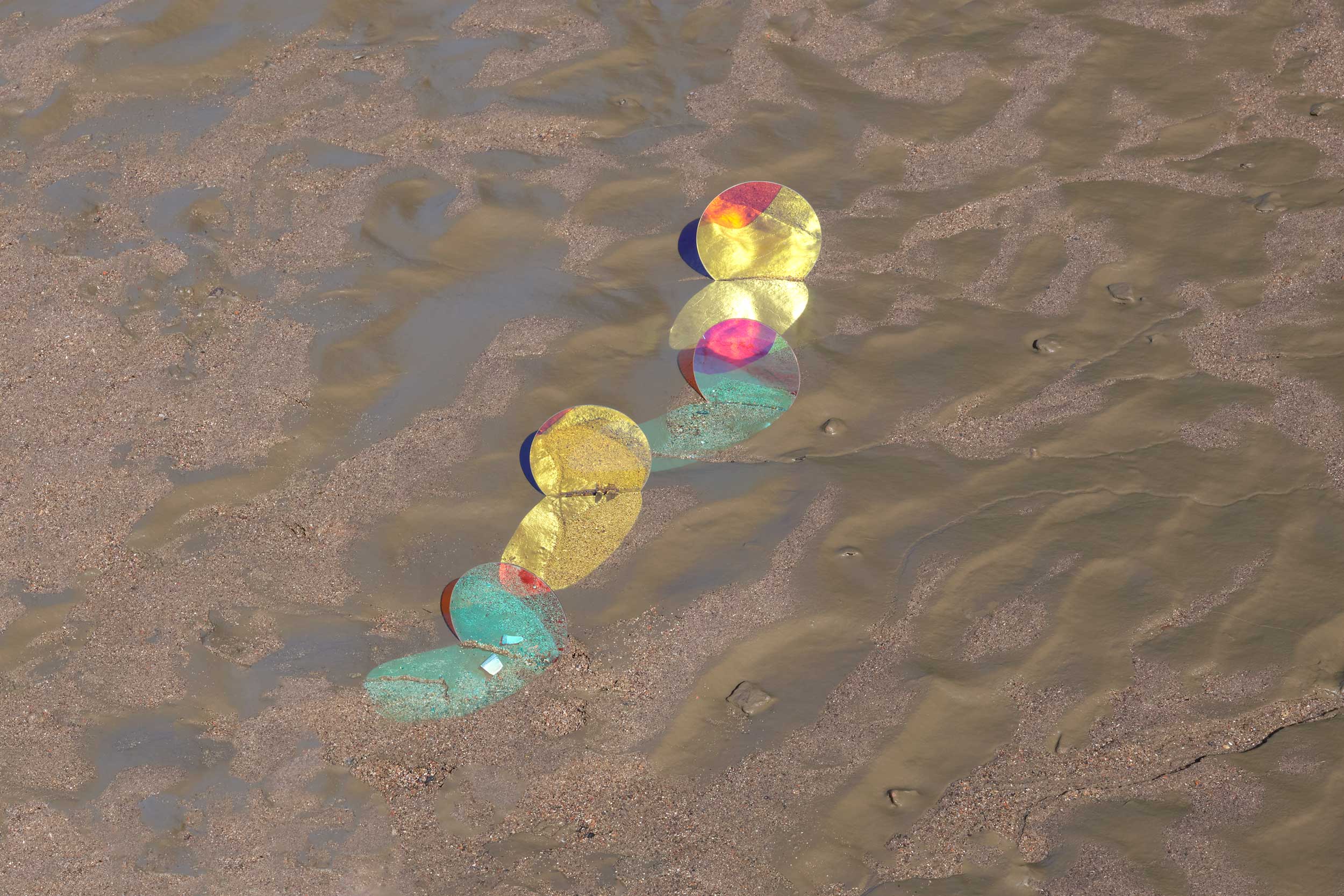 Golden Duck   2021 Giclée print 426 × 640 mmEdition of  7 + 2 AP’s