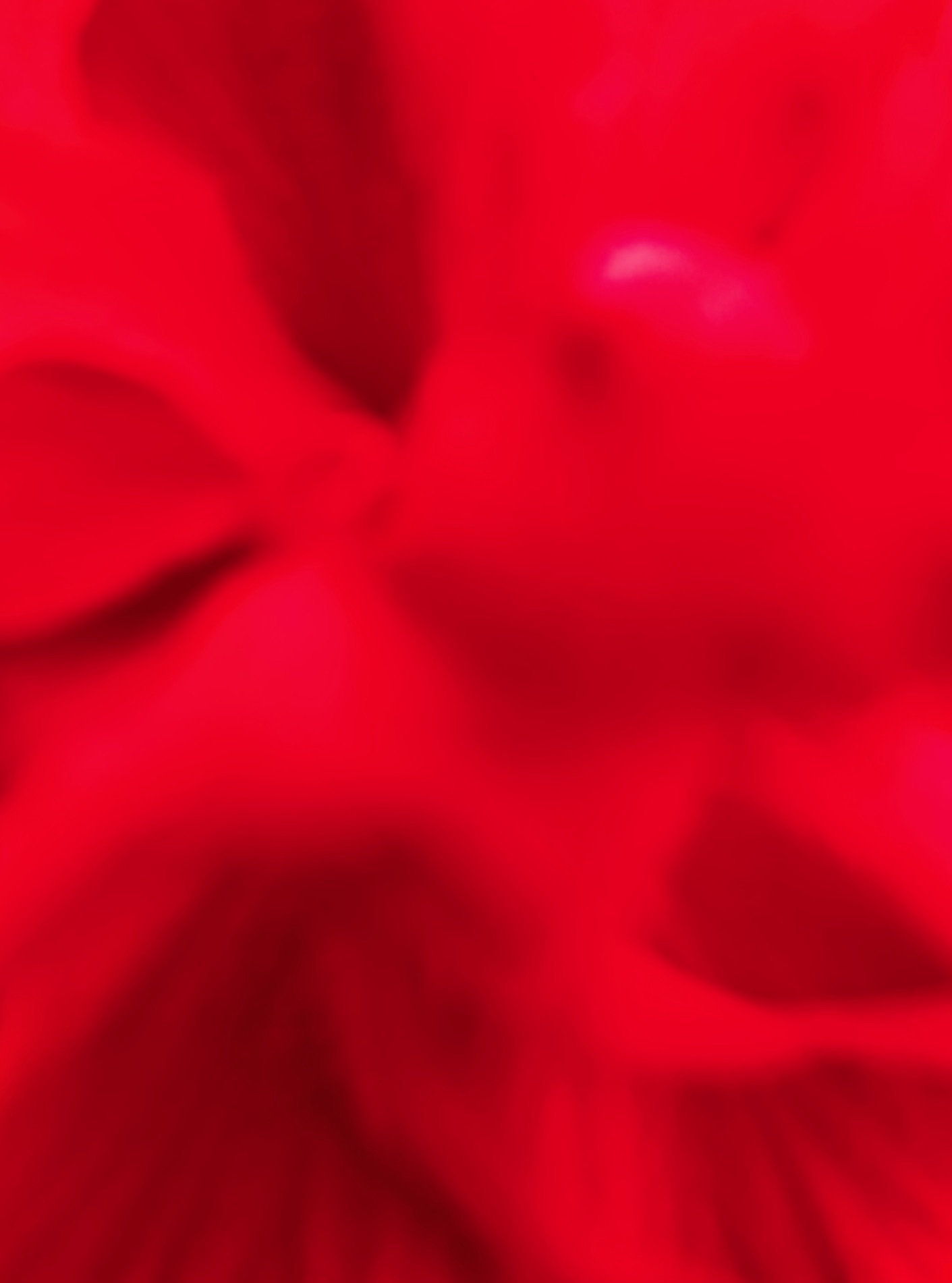 resistant flowers, 2025