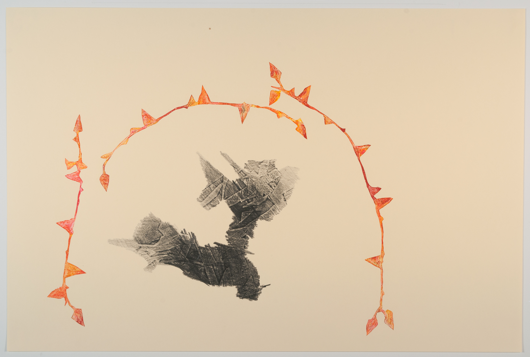 echo of v.h 4  Graphite, gesso and oil pastel on paper.  2014 - 21 x 31