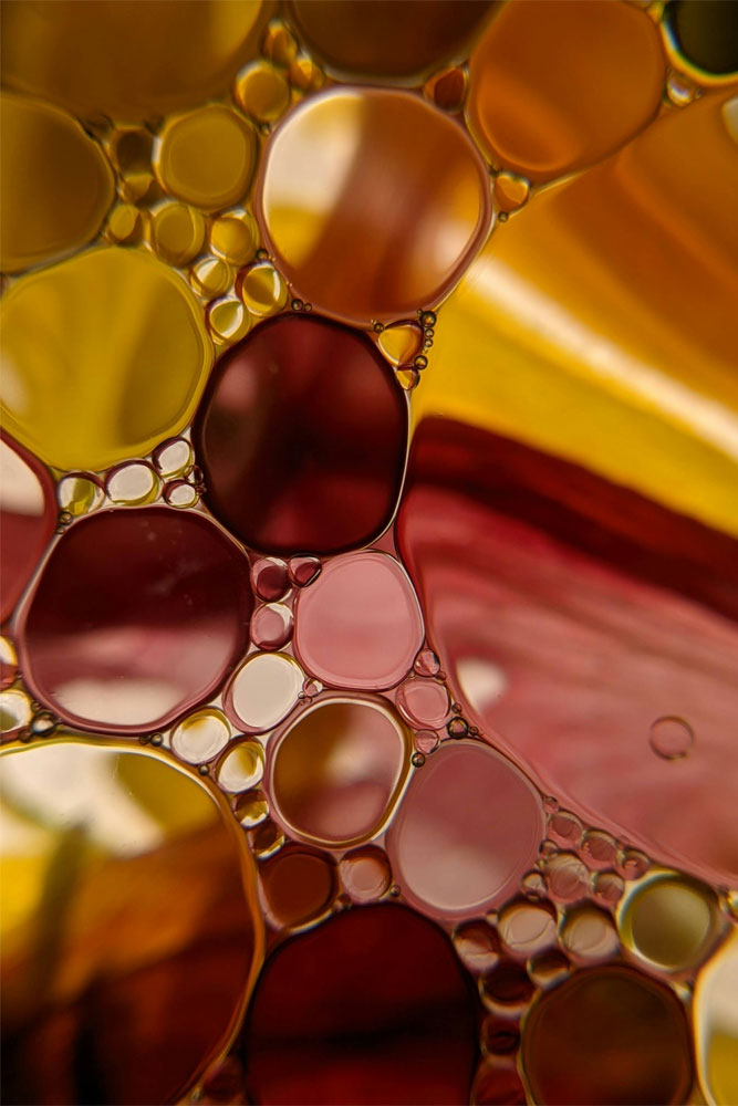 original image by Susan Wilkinson