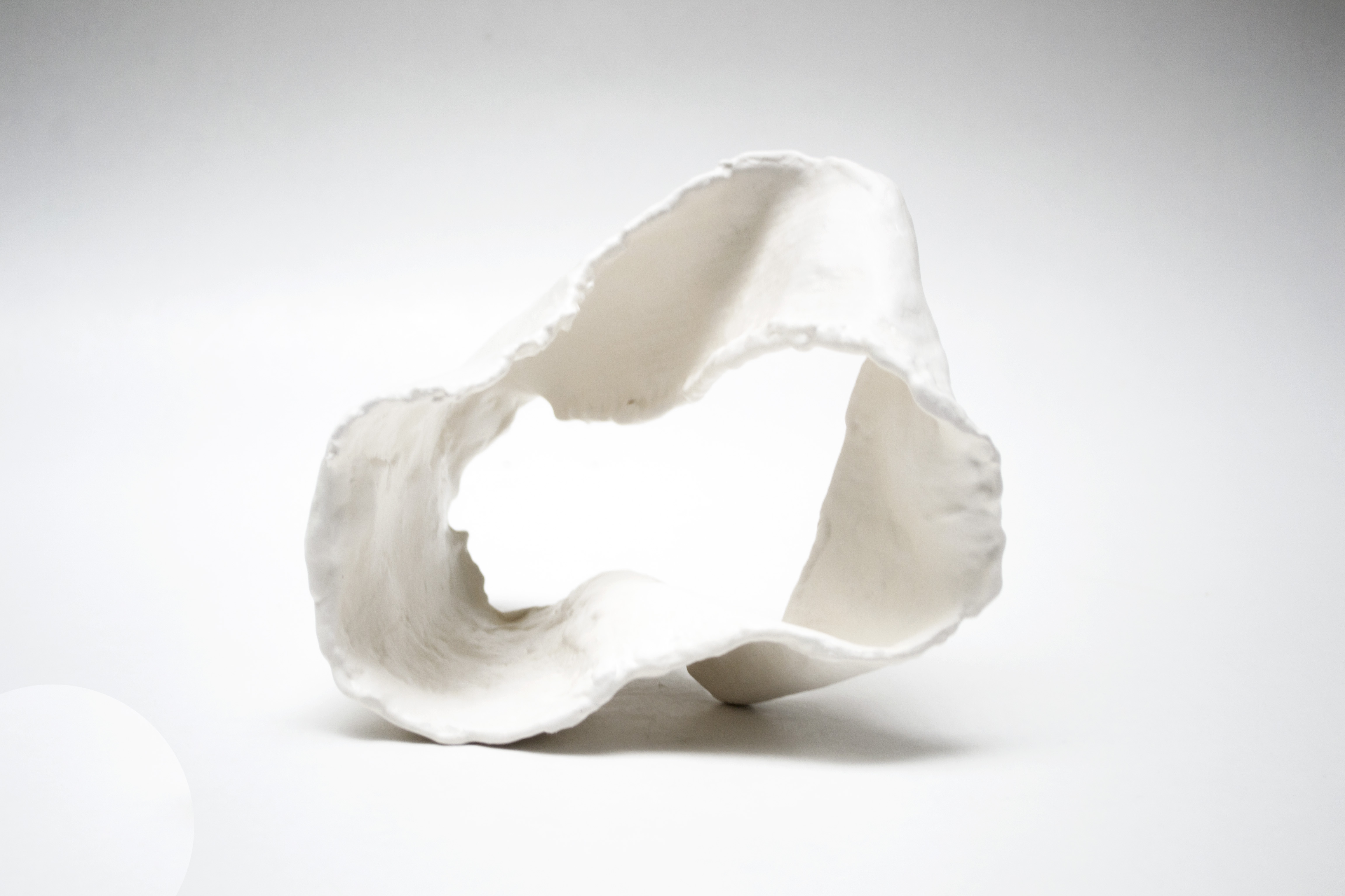 Série Biophilics - Porcelana, ago 2021
