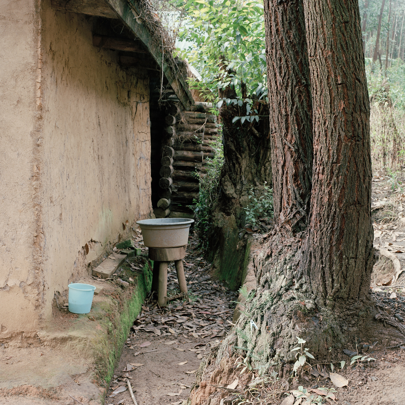 Smallholding I, Antsirabe, 2013