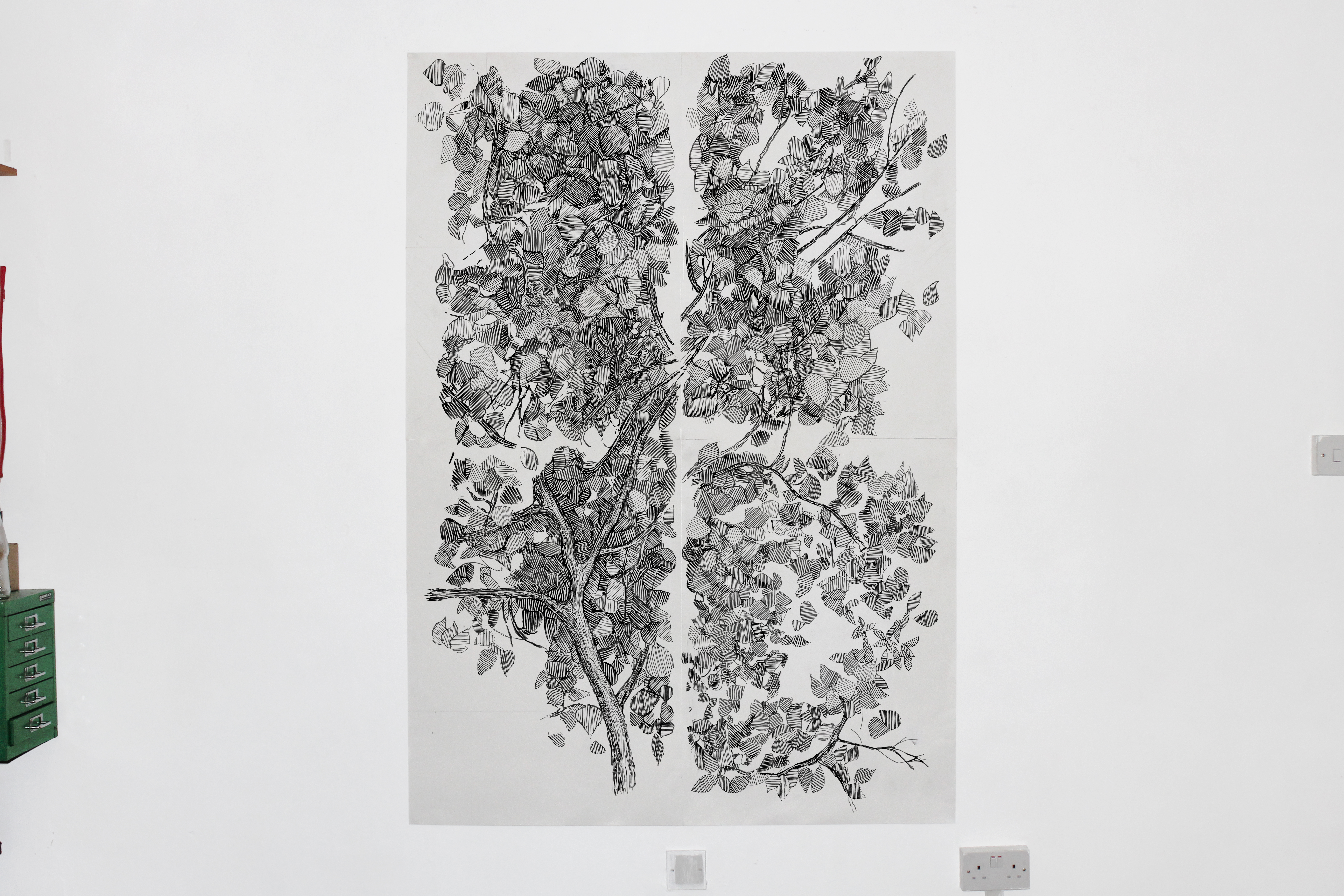 Black Poplar Leaves, ink on paper, 840 x 1,188 mm - Buckinghamshire County Museum