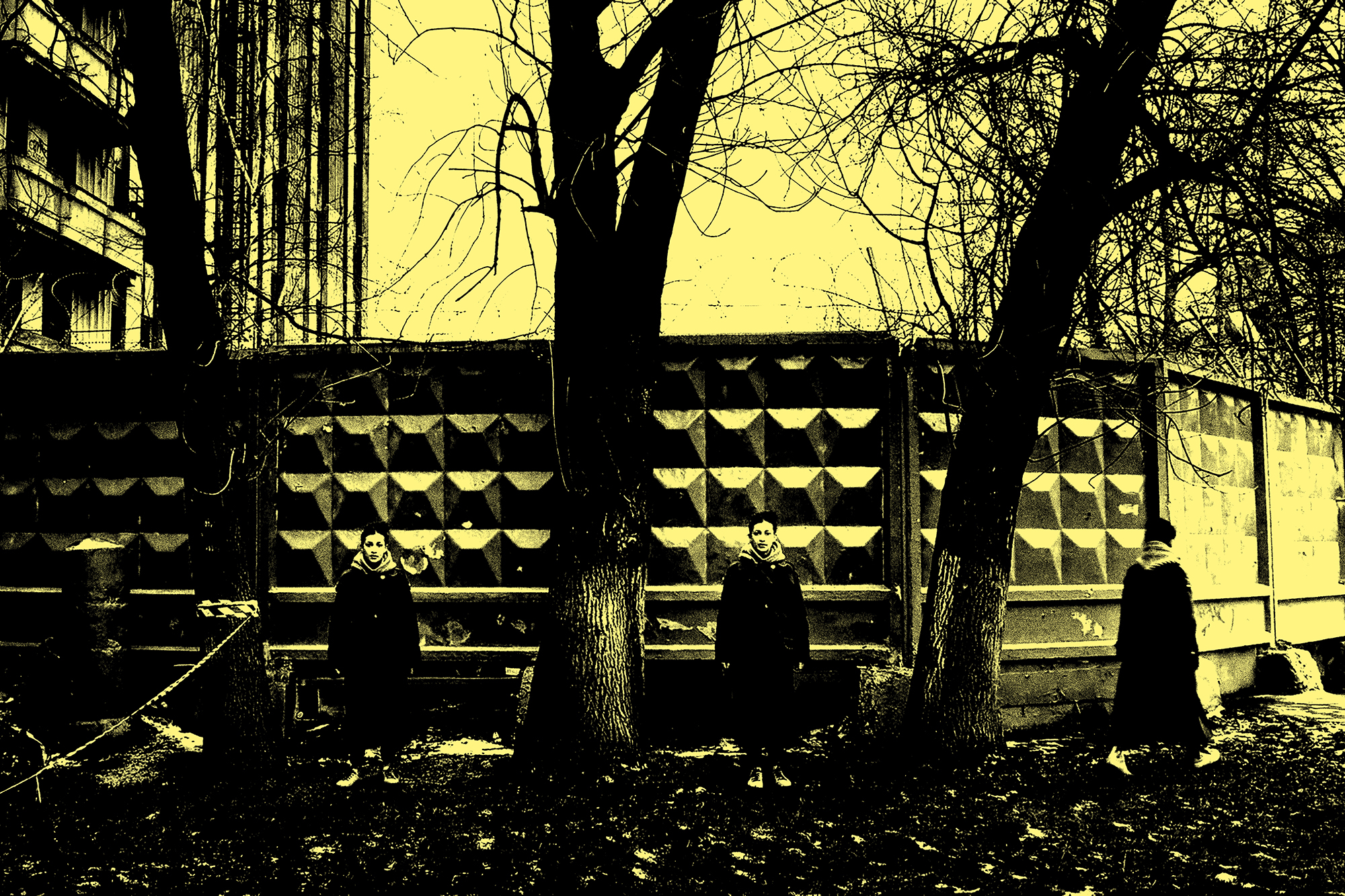→ twin fences, 2023