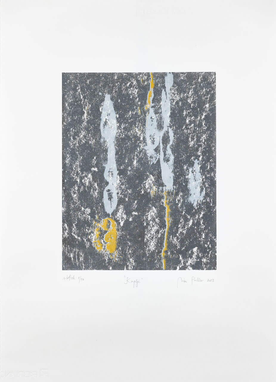 Mia Paller, Dribbles, silkscreen on paper, 70 x 50 cm, 2023