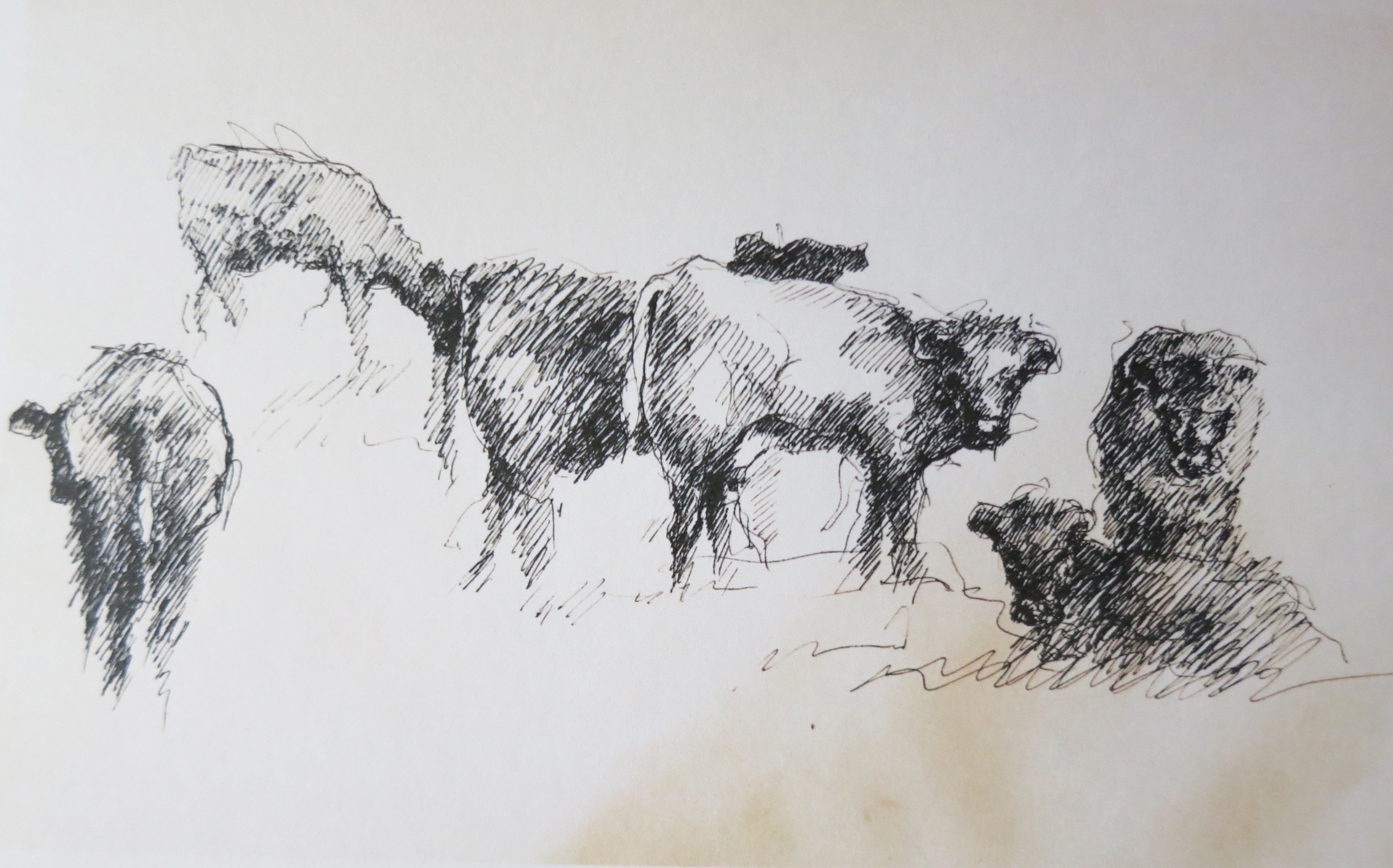  Ink on paper &ndash; 8&rdquo; x 11&rdquo; 