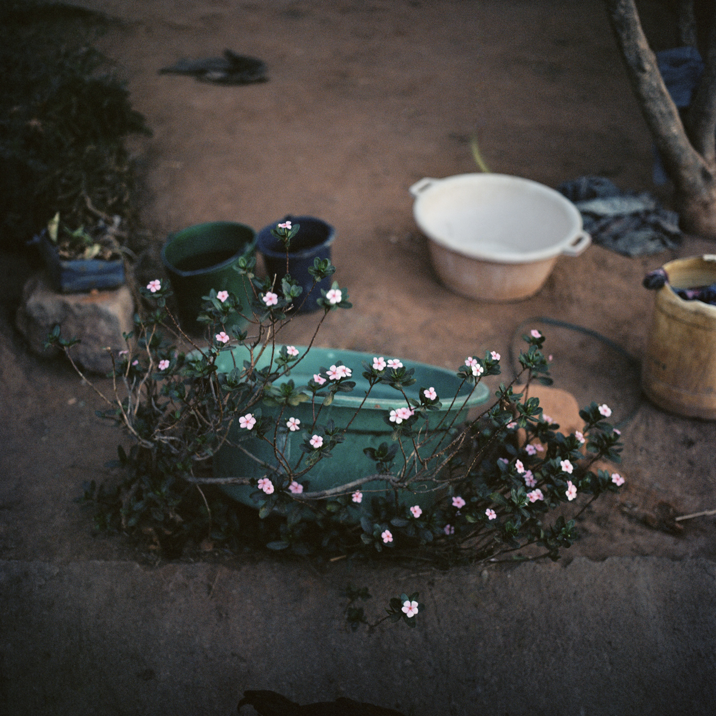 Verge, Ilakaka, 2013