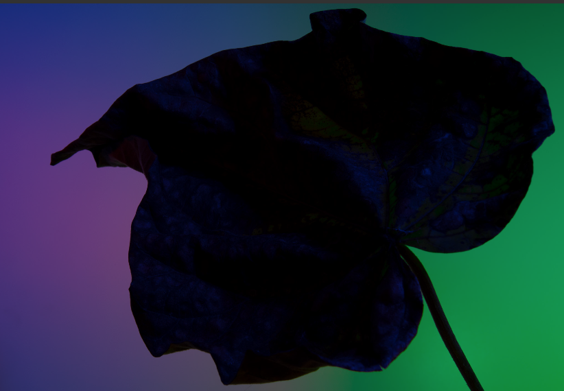 PHOTOGRAPHY BY RAF STUDIO FOR HERMES