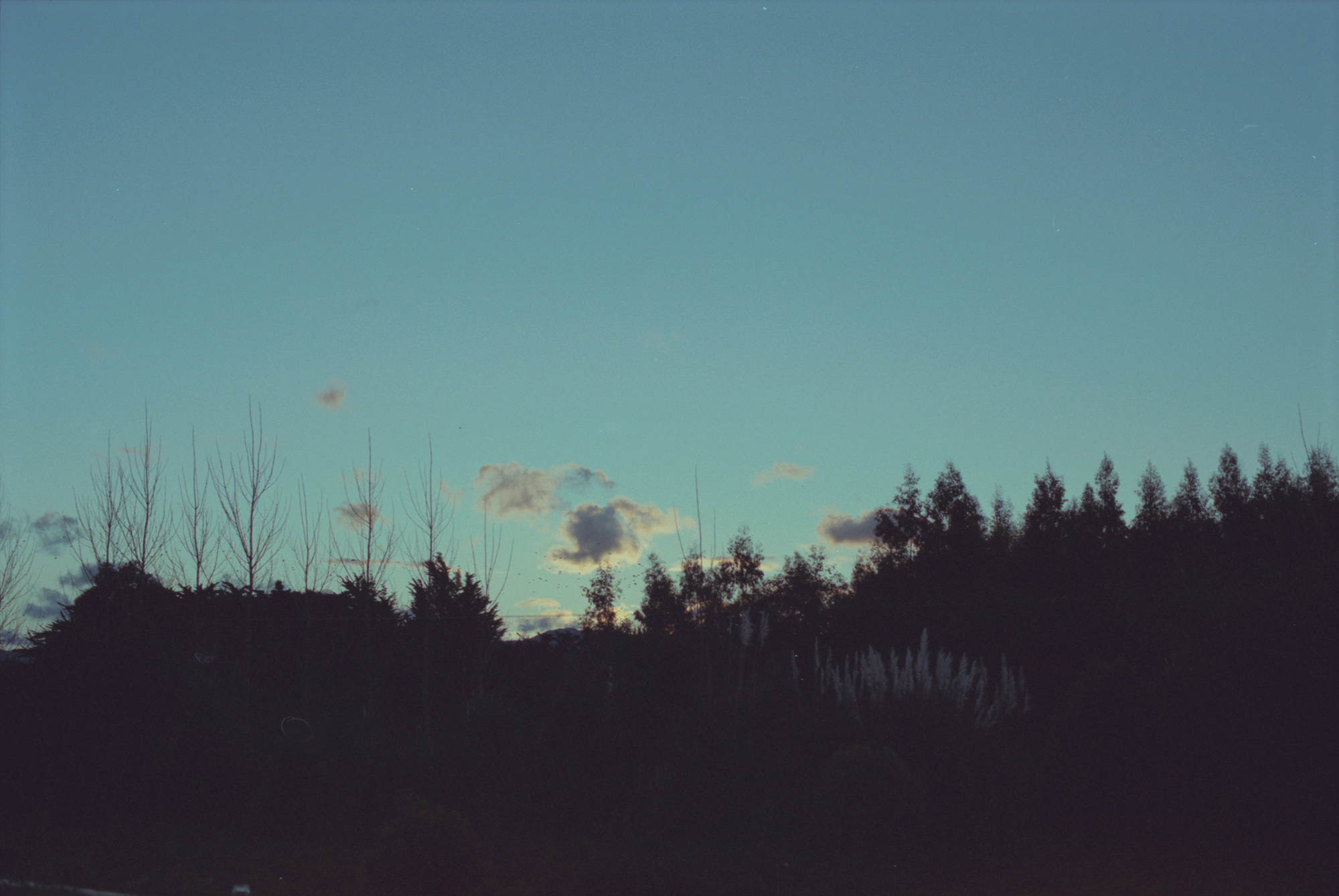 2/2Wairarapa, 1999 (990501_033)