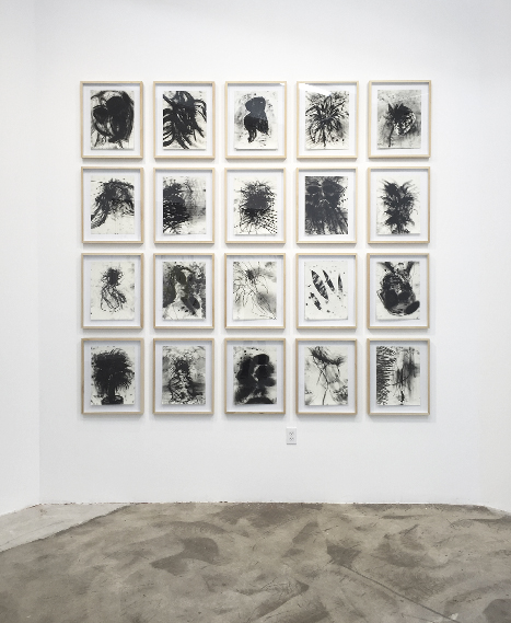 (2016). Charcoal on paper. 15.74 x 116.14 in each. 