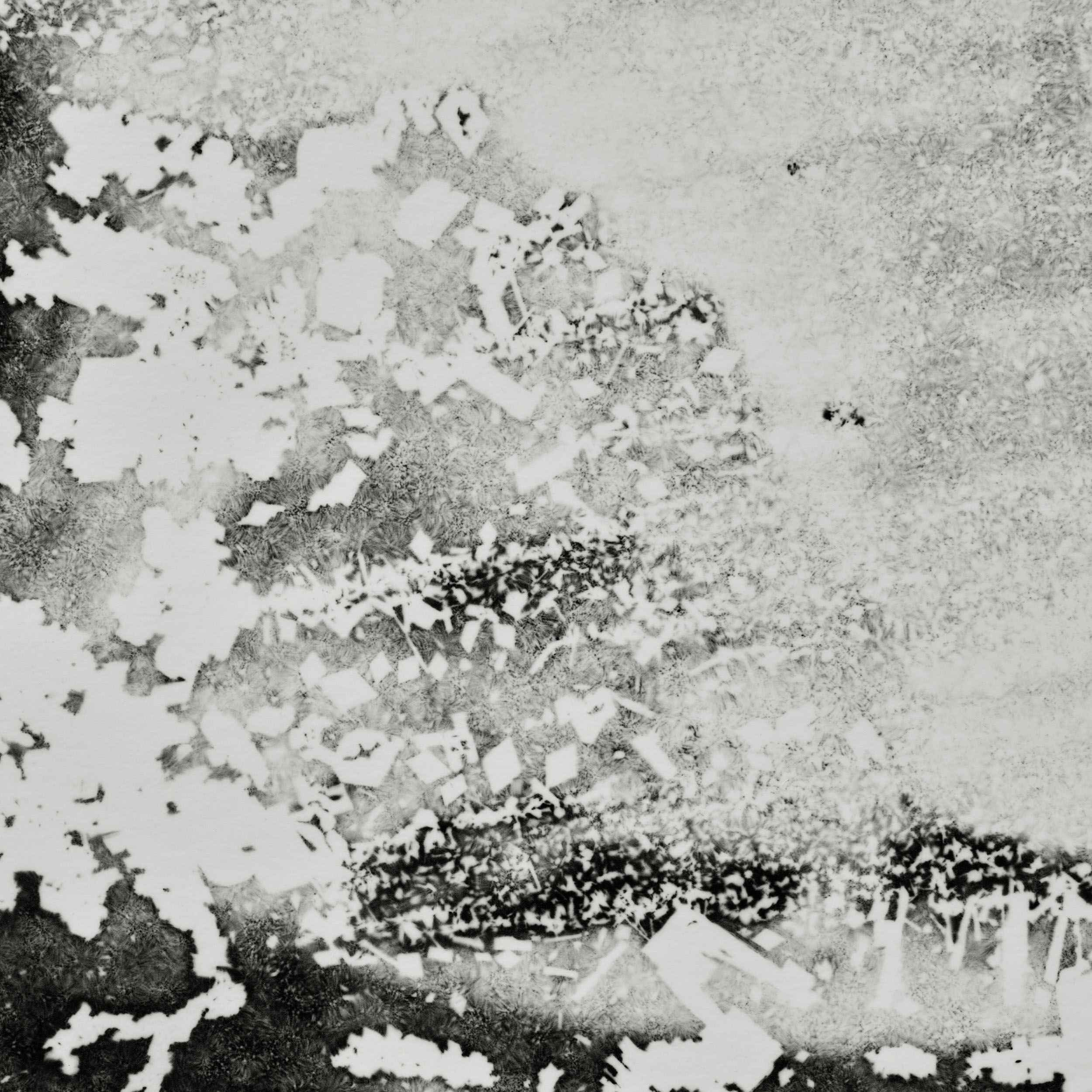 ELYN, EP Lay Down My Name, 2025