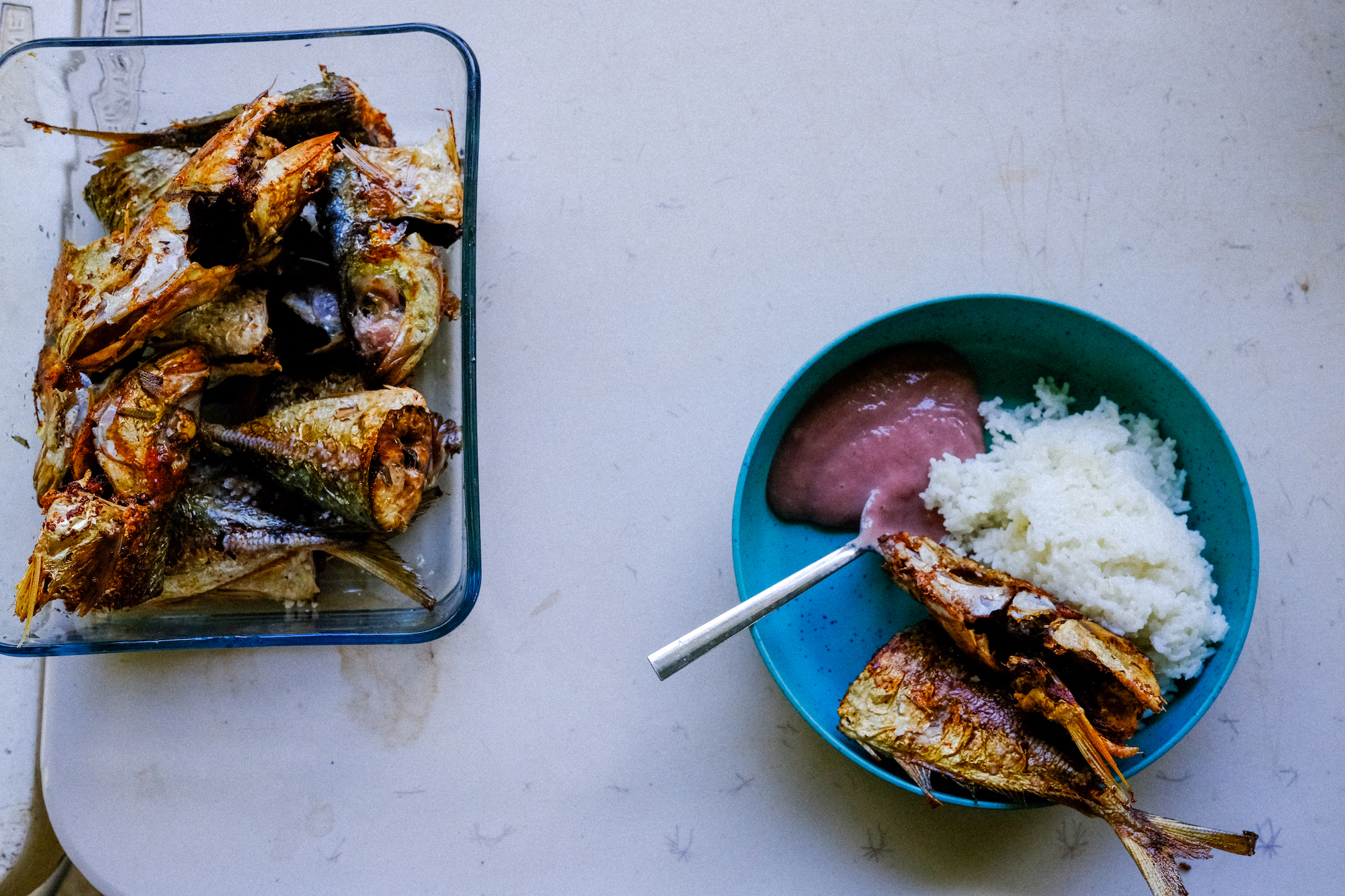 figure: For lunch, Randy fried up Akule, (big eye scad, Selar crumenopthalmus), served with poi and rice.
