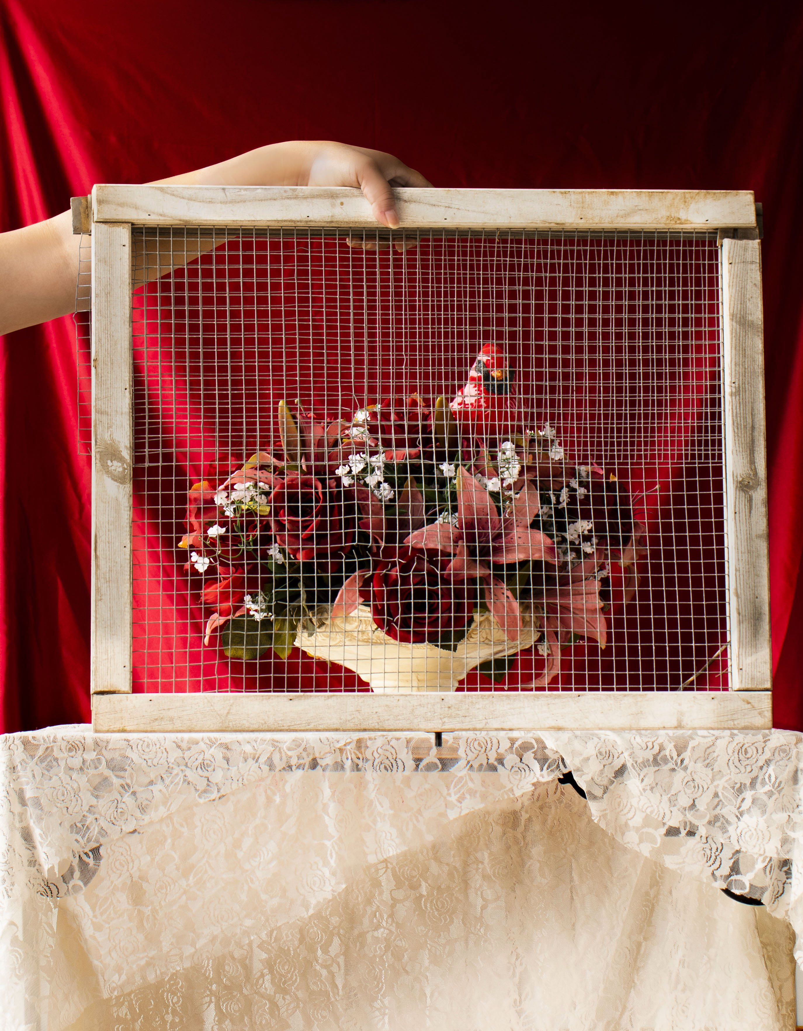 Best in Show, Rubi Chavez, Ruby, Digital photography, size varies