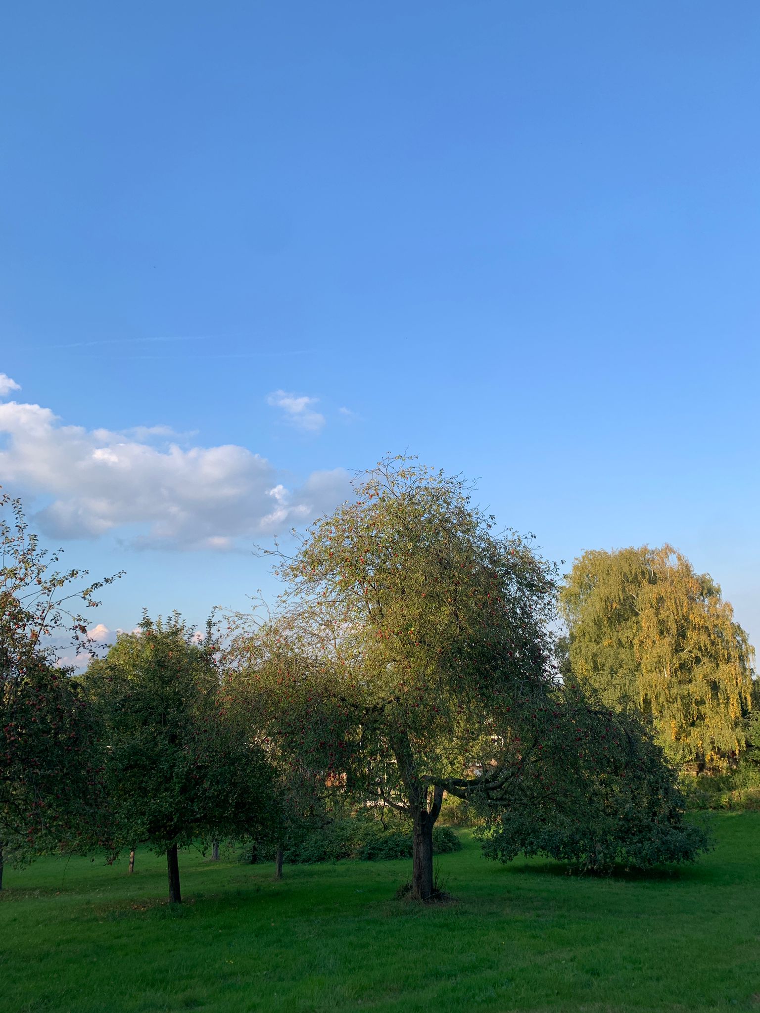 Continuing 'the Golden Gaze' at the Moraine as their artist-in-residence