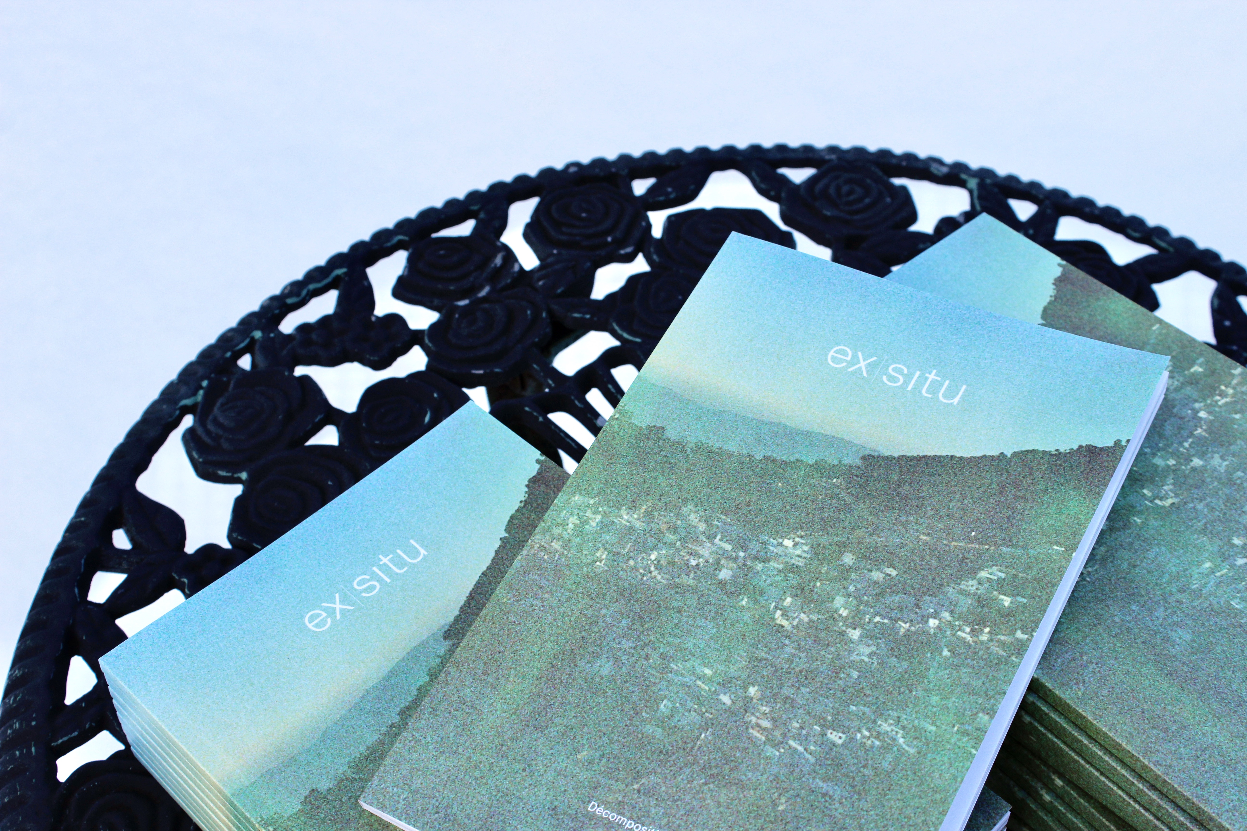 Revue Ex_situ, No. 27, Décompositions, 2021. © Galadriel Avon.