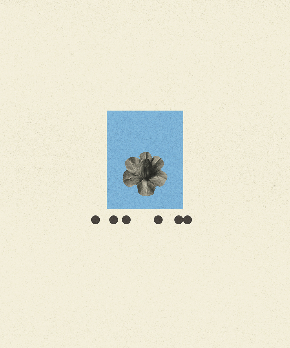 44. flower card 10.11.25