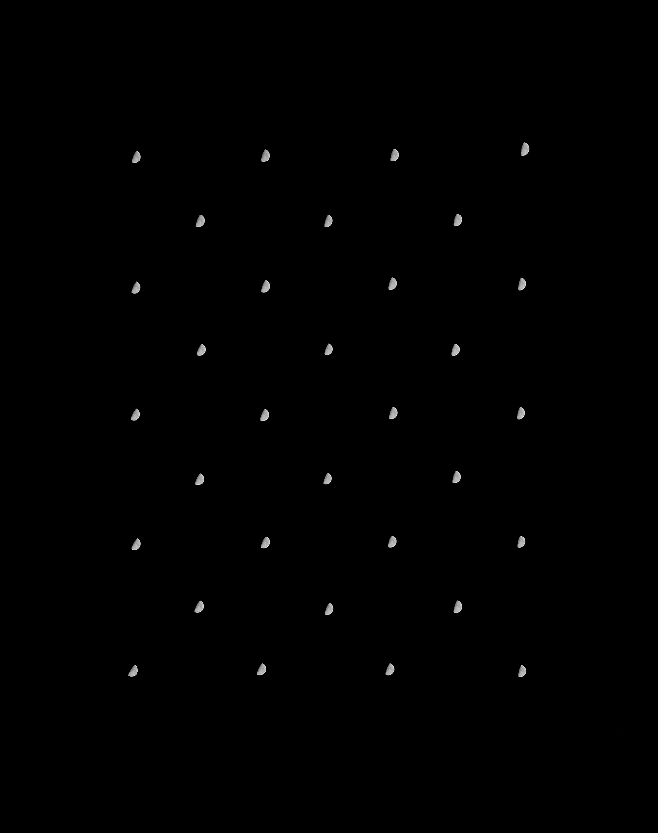 Half-Moon Lattice, 2017