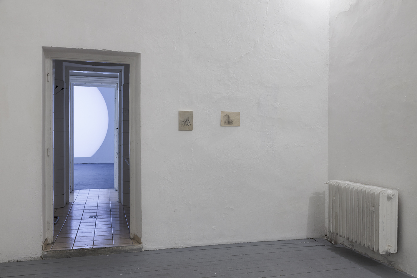 installation view