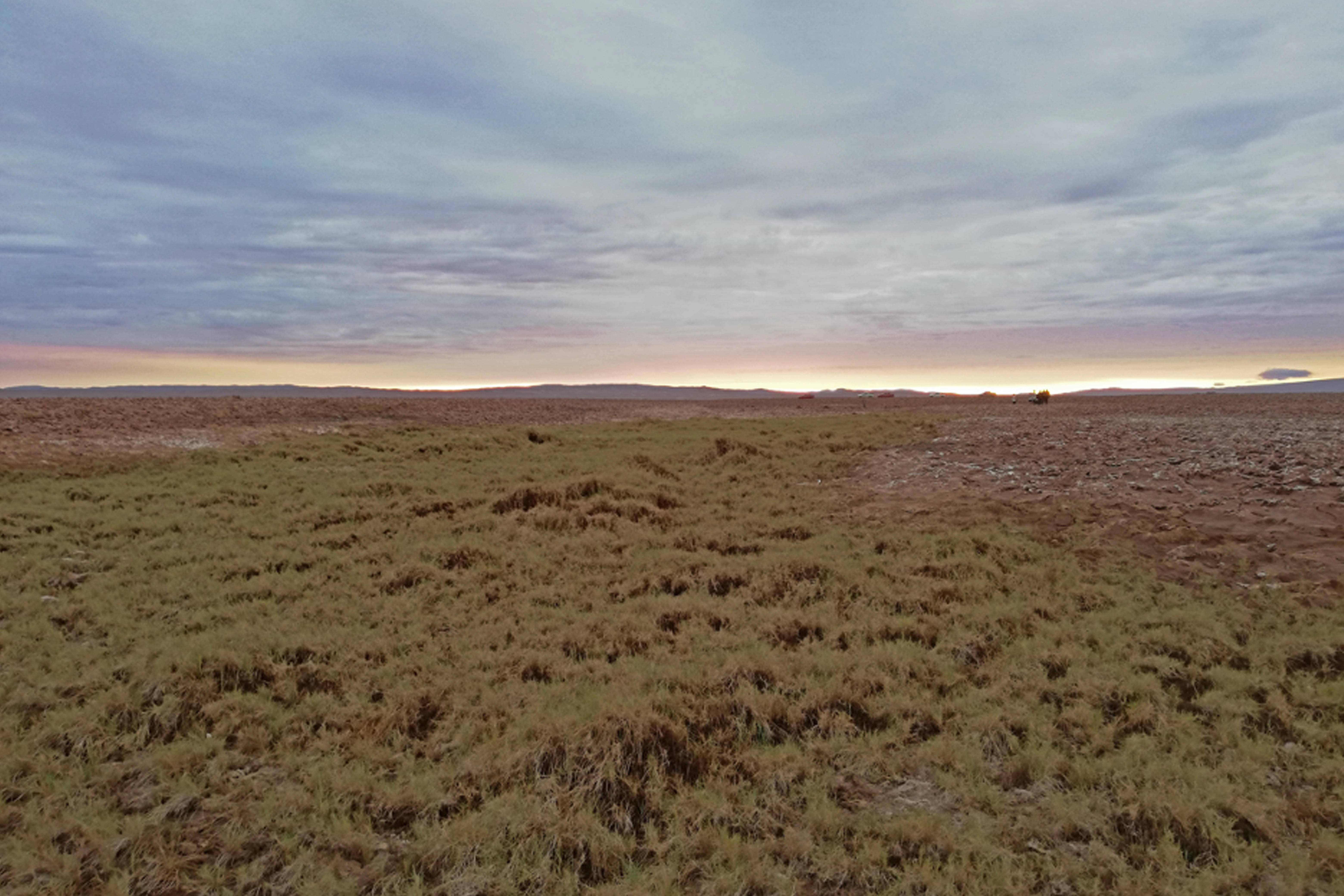 Puquio de los Huatacondinos, Salar de Llamara, Chile. 2020.