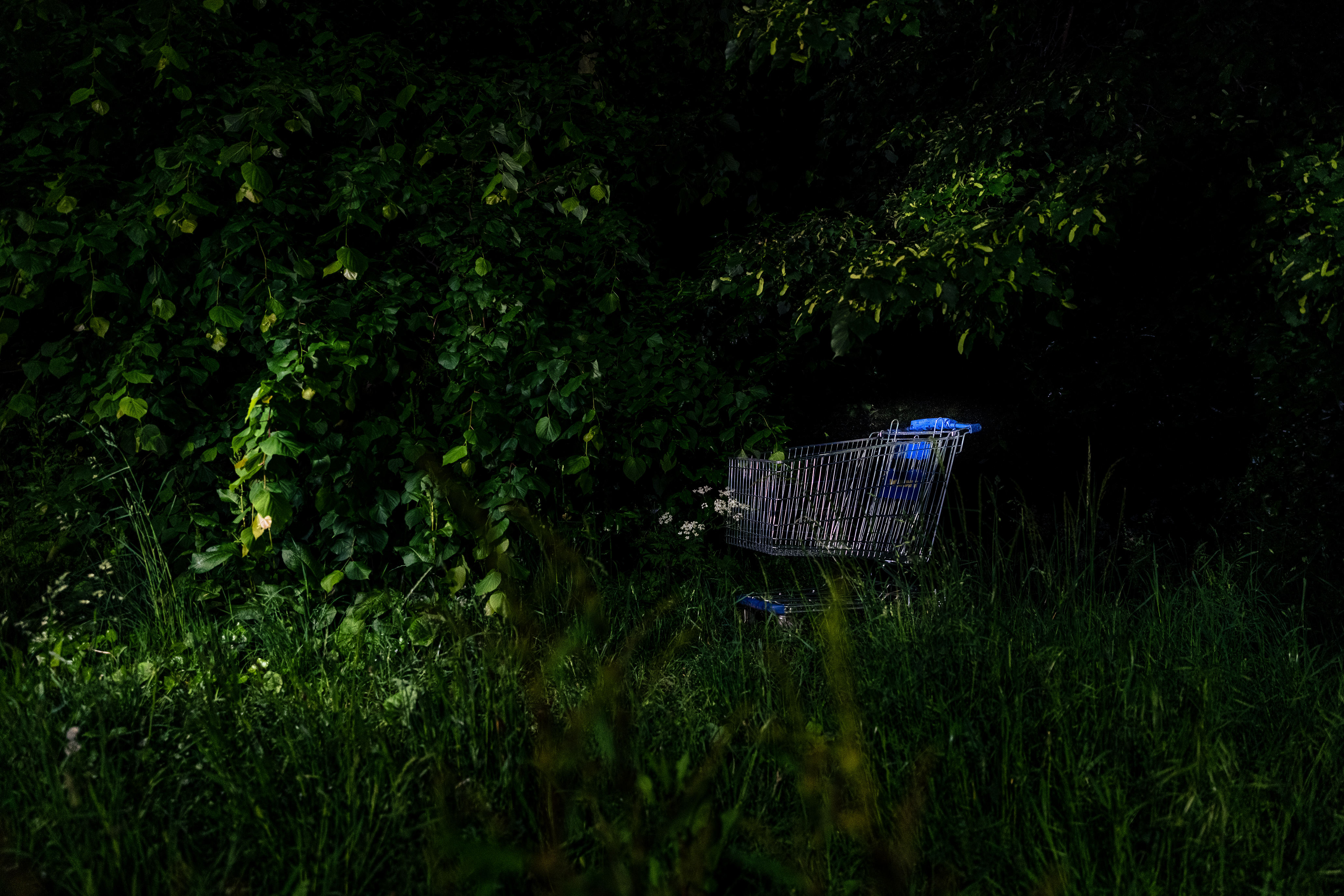 An abandoned trolley in woods © Lai Po Kan 2022
