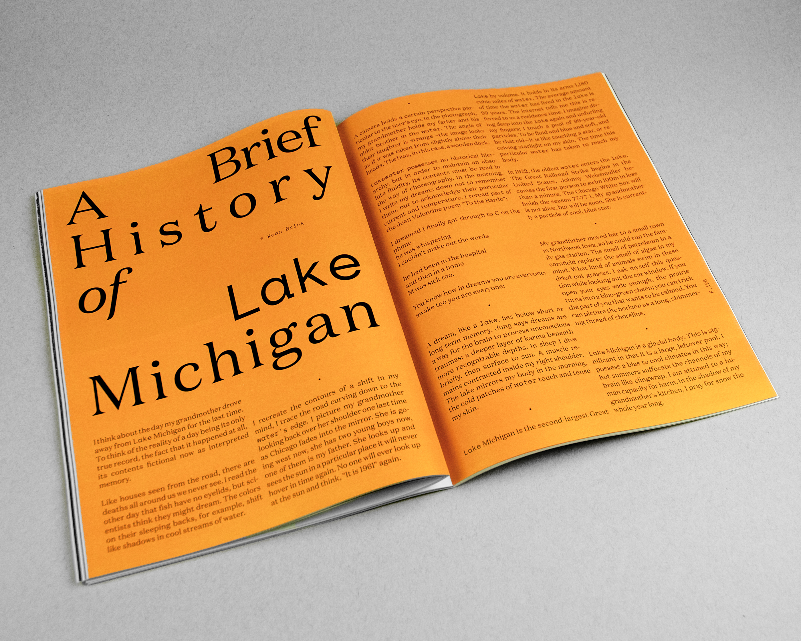 Work by Koan Brink (p.124 & 125).