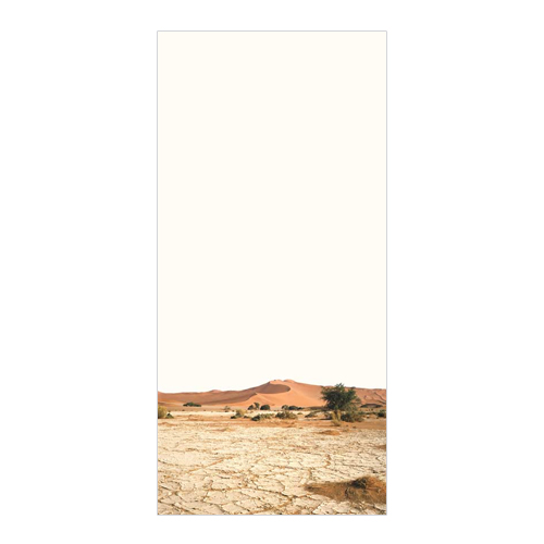 KRUSTE 2008, laserchrome / diasec, 190cm x 100cm
