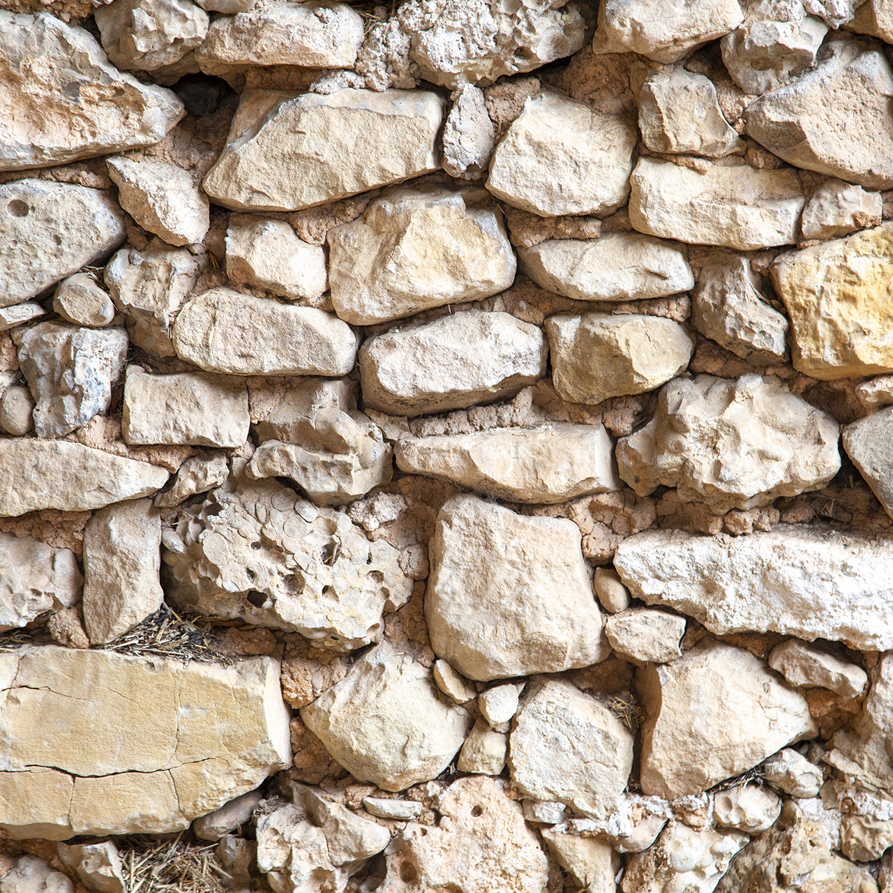 36 pedres. Pedra seca &copy; Albert Carreras, 2025