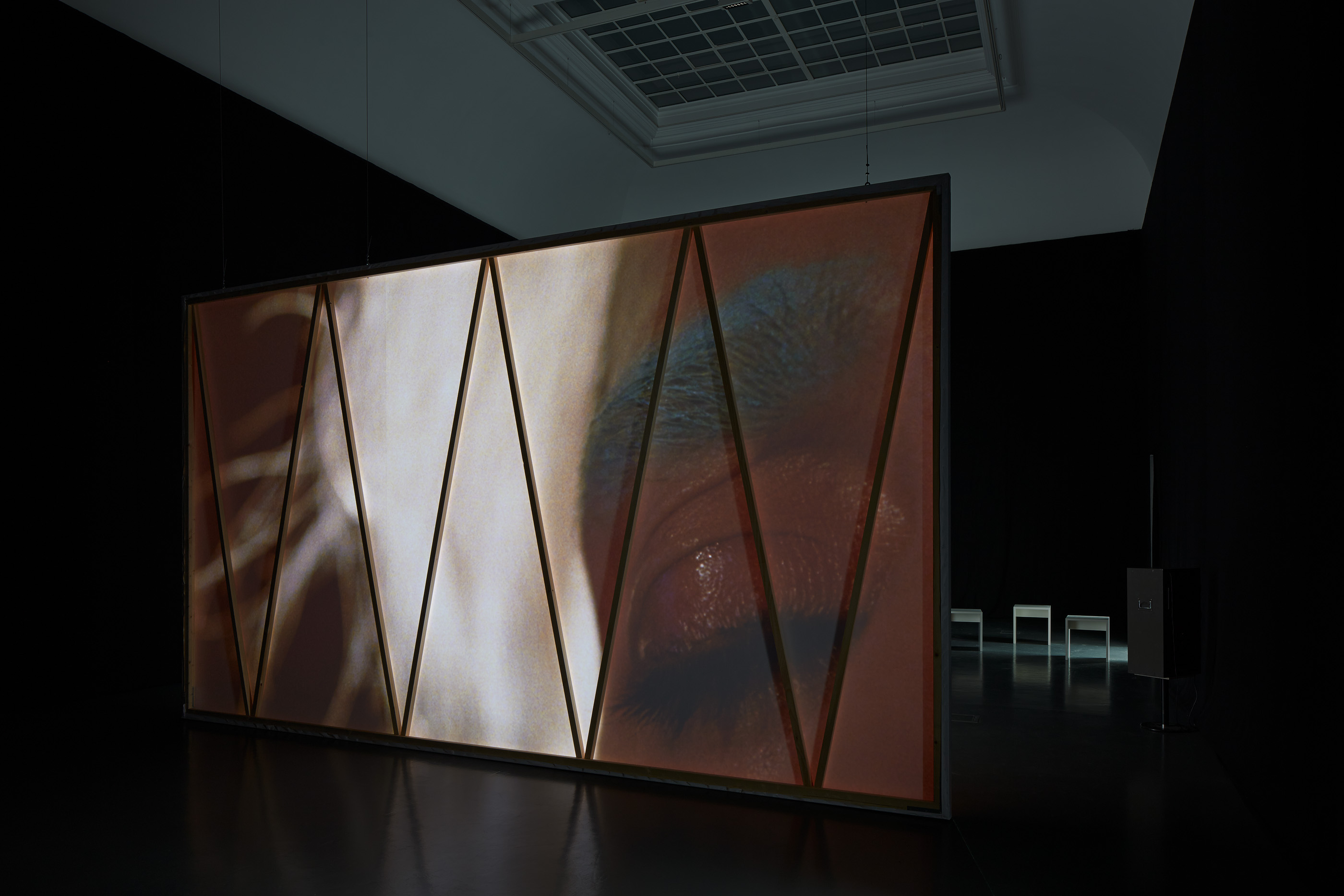 Pauline Boudry / Renate Lorenz _ Patriarchal Poetry