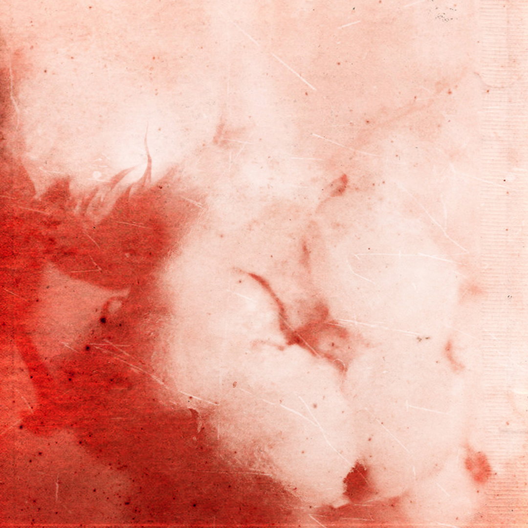 All the colors we missed