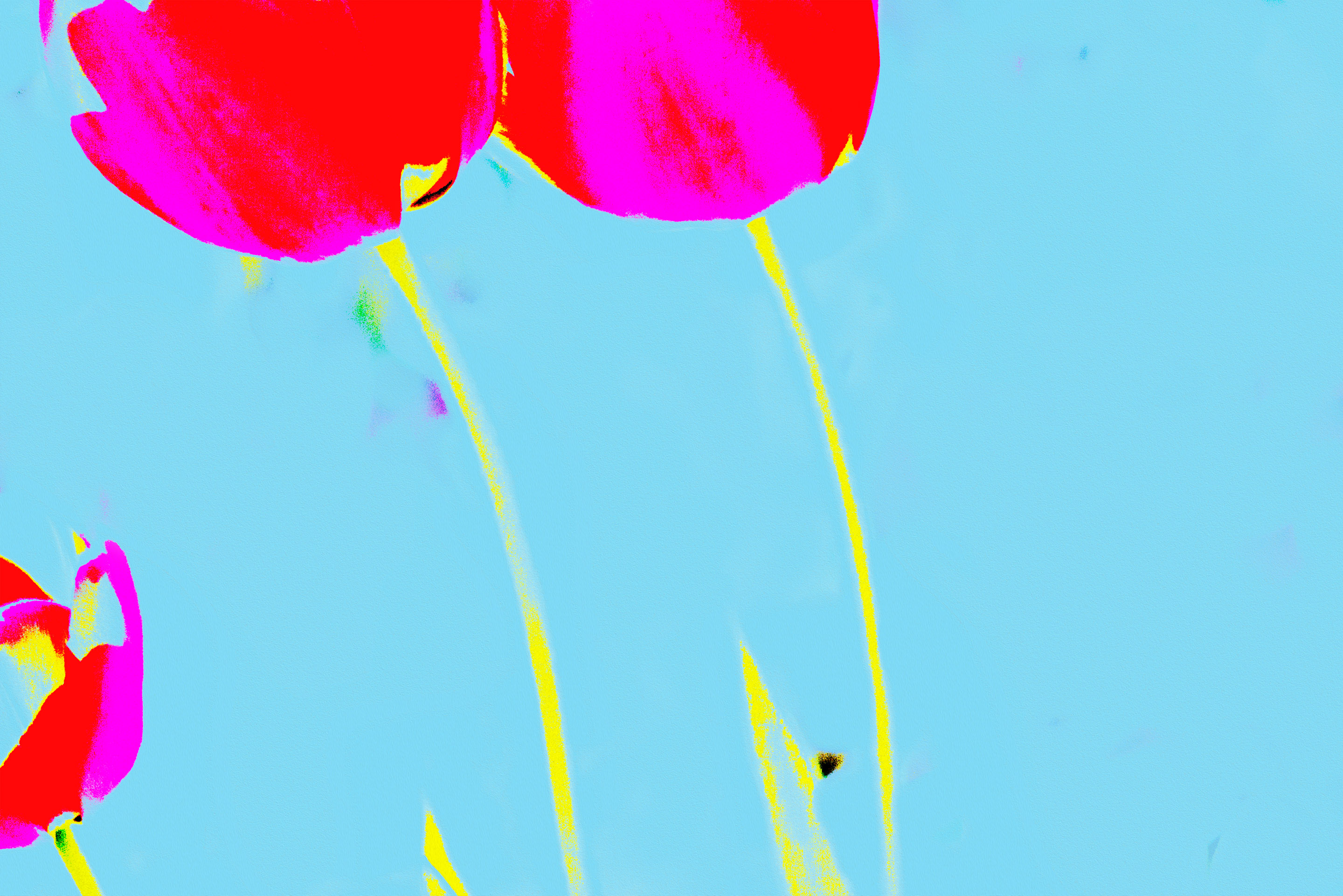 Tulpengruppe auf Blau