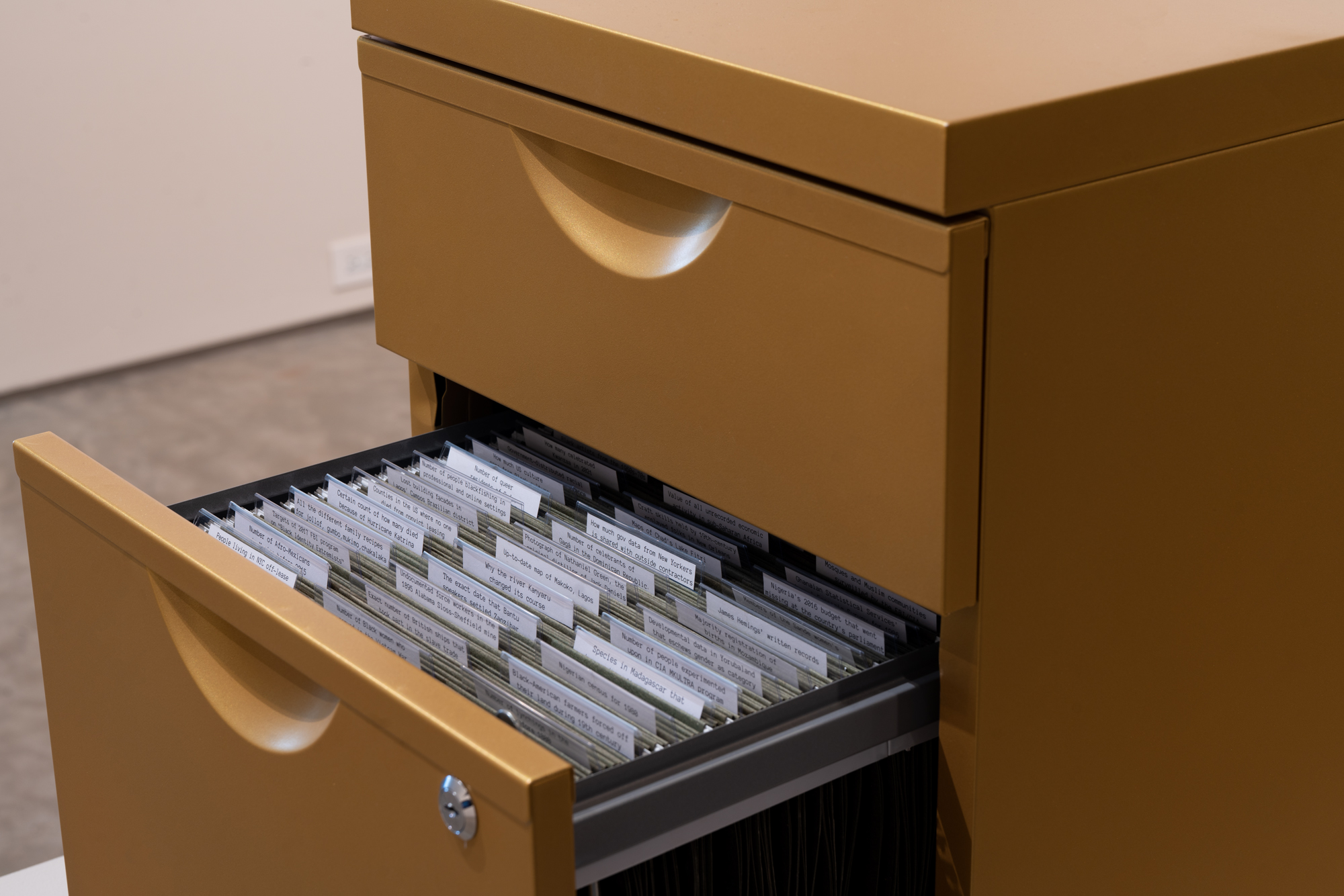 Mimi Ọnụọha, "The Library of Missing Datasets 2.0", 2018. Image by Rob Ventura.