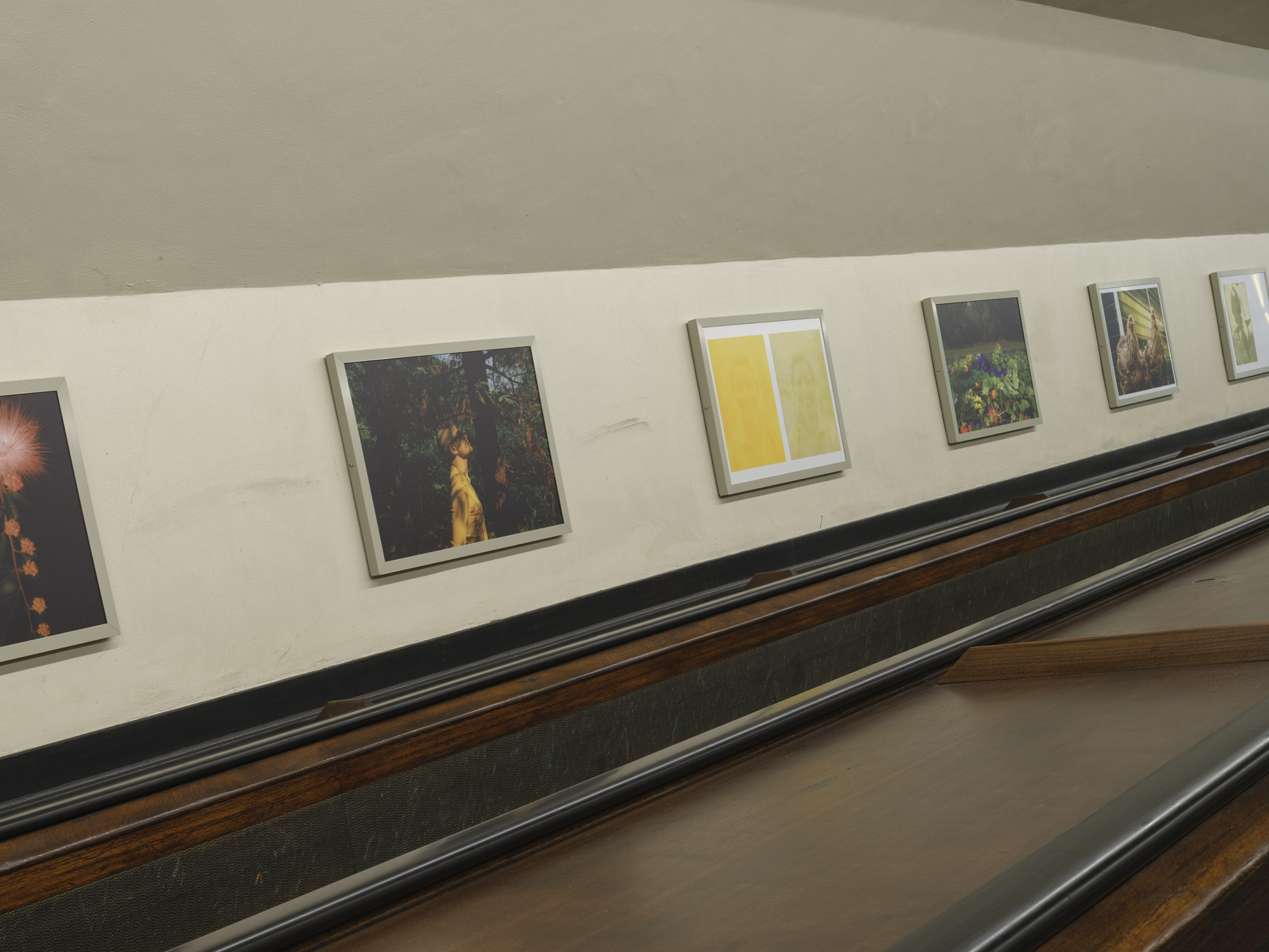 exhibition view