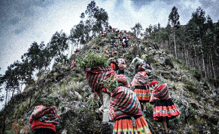 https://www.unenvironment.org/news-and-stories/story/ambitious-project-restore-andean-forests